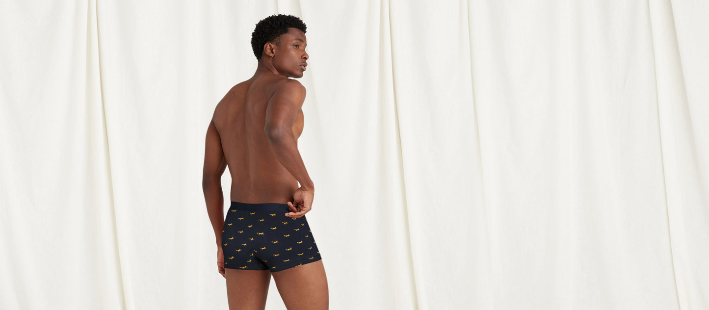 Stretch Cotton Trunk w/ Fly | Foxes