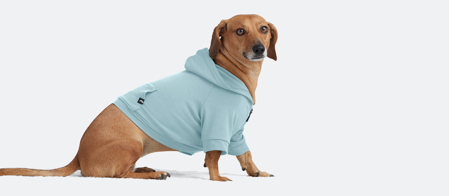 UltraModal™ Dog Hoodie | Ice Blue
