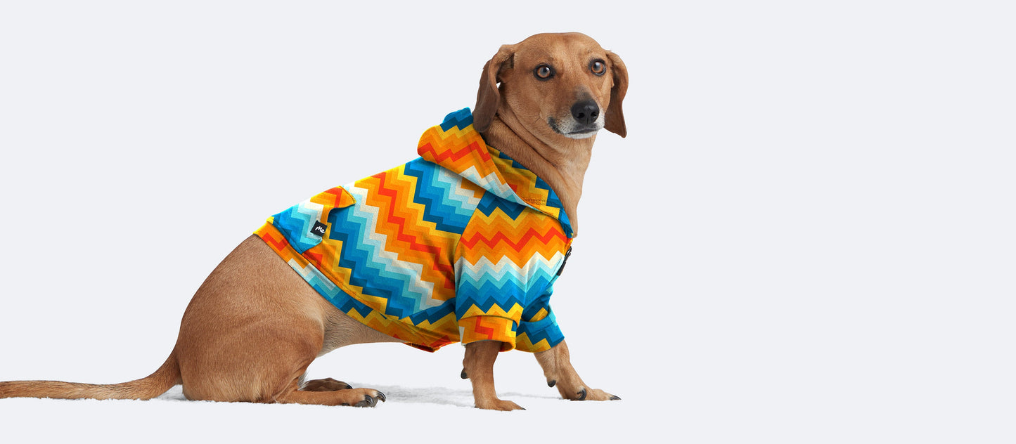 UltraModal™ Dog Hoodie | Groovy Chevron