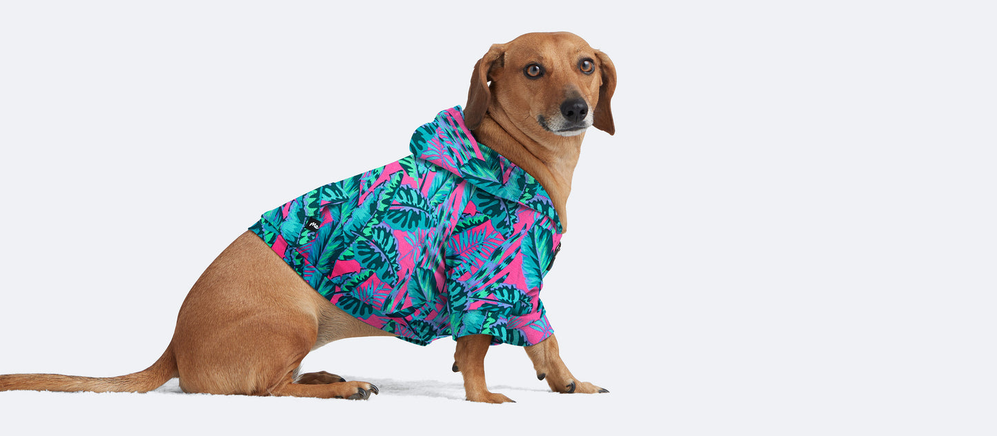 UltraModal™ Dog Hoodie | Miami Nights