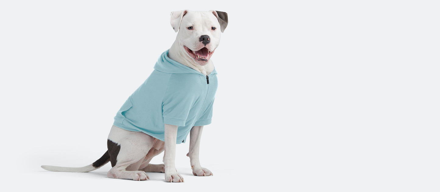 UltraModal™ Dog Hoodie | Ice Blue