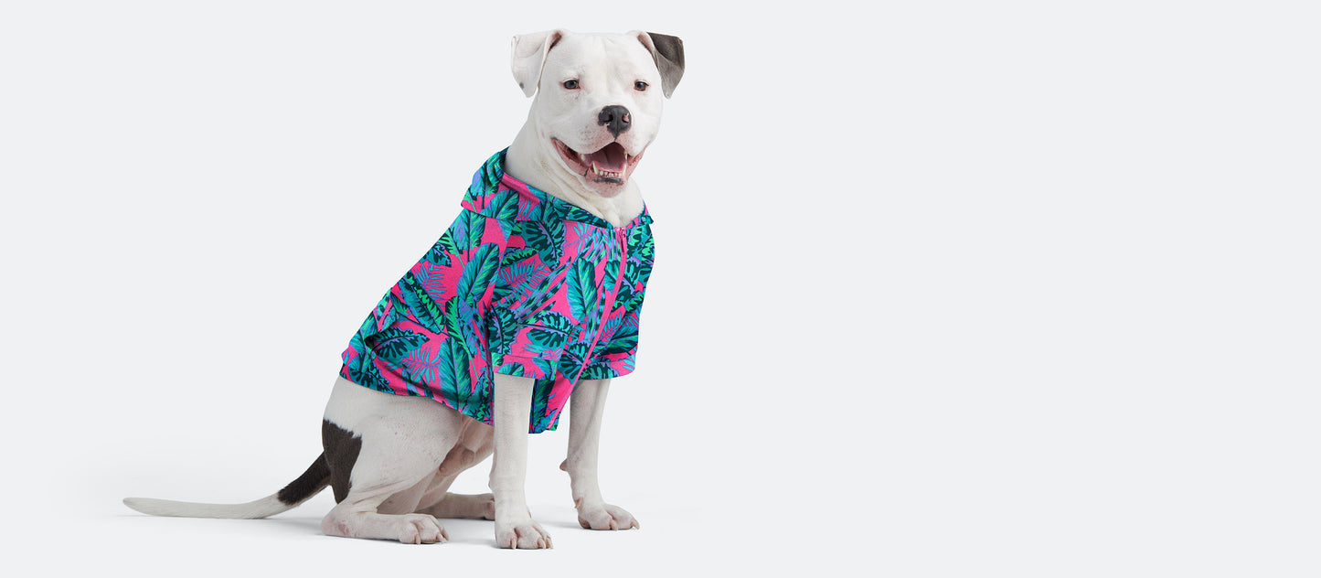 UltraModal™ Dog Hoodie | Miami Nights
