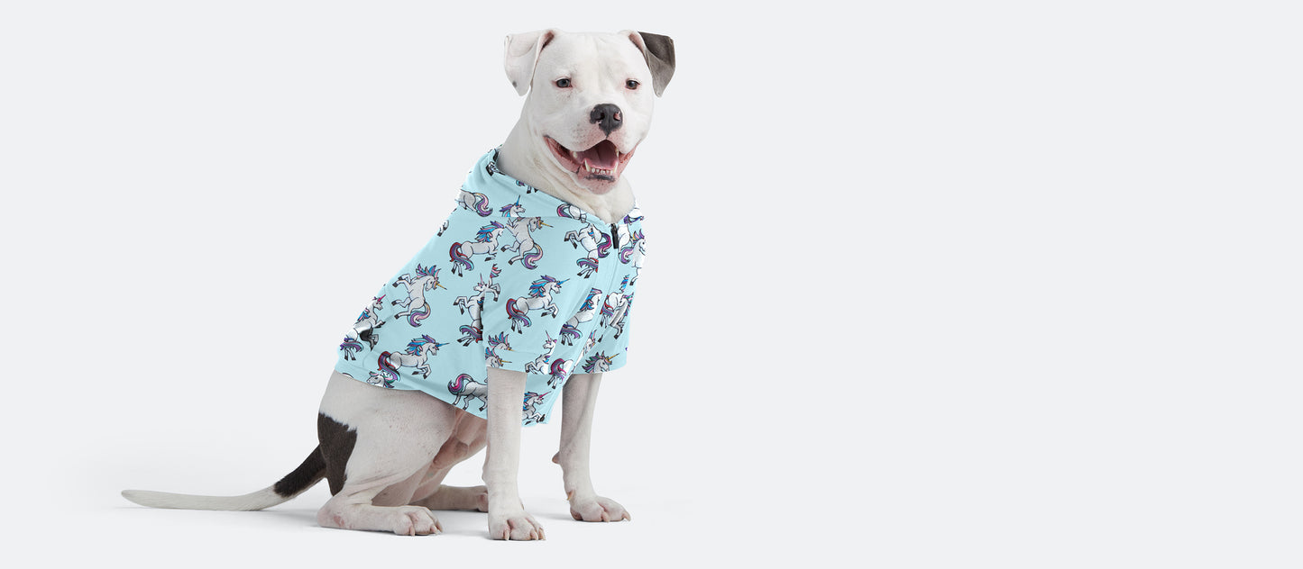 UltraModal™ Dog Hoodie | Let’s Get Mystical