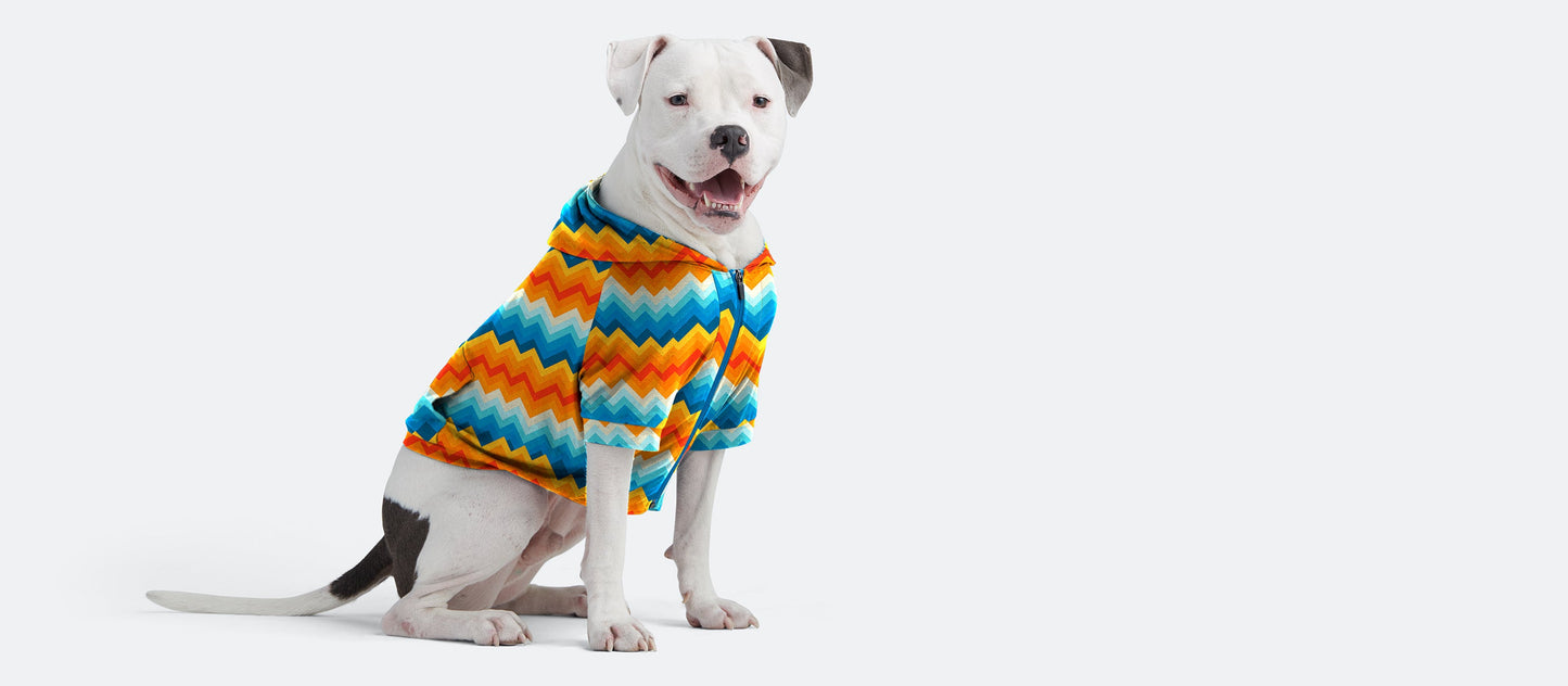 UltraModal™ Dog Hoodie | Groovy Chevron