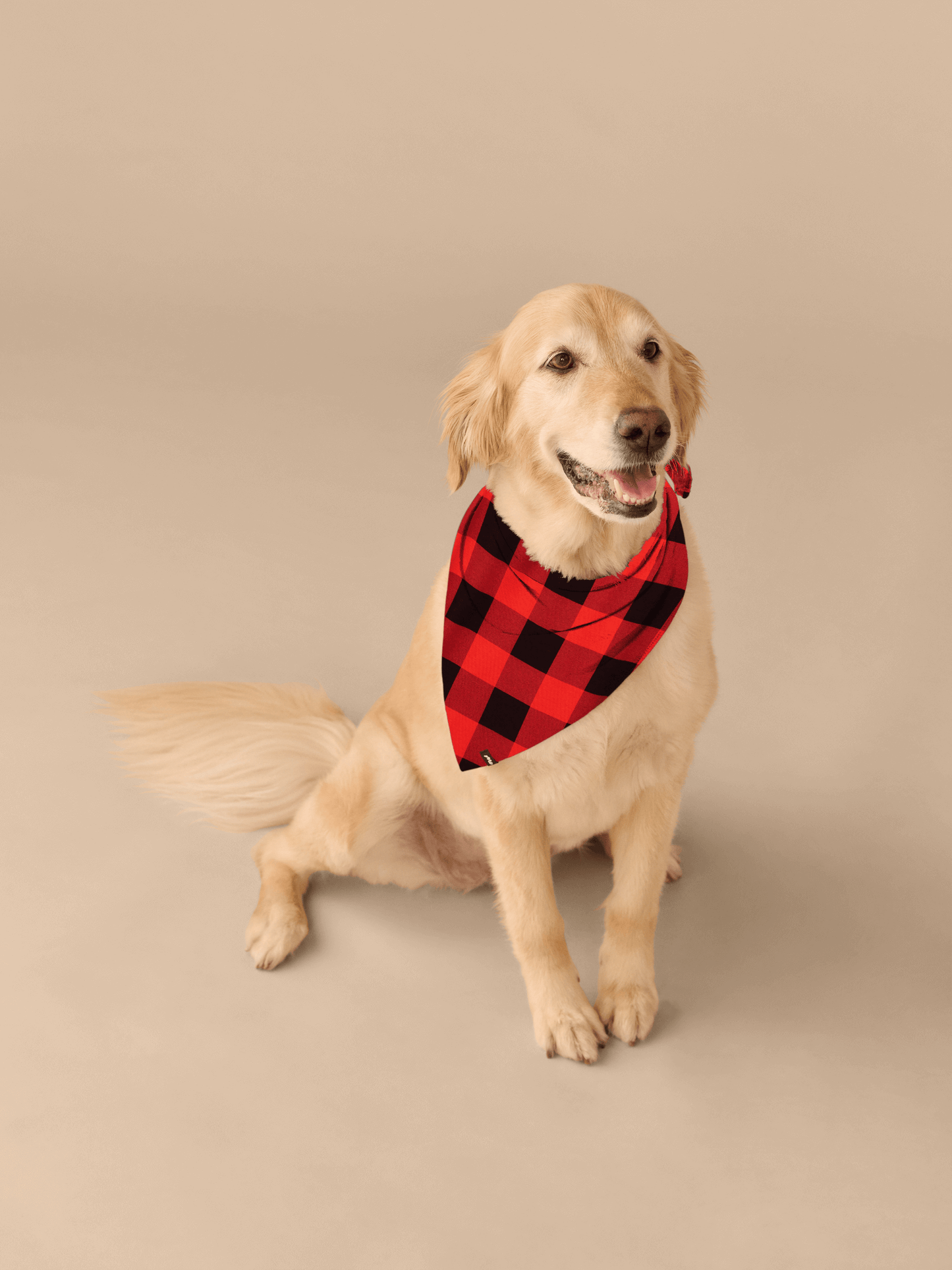 UltraModal™ BuddyBands™ | Buffalo Plaid