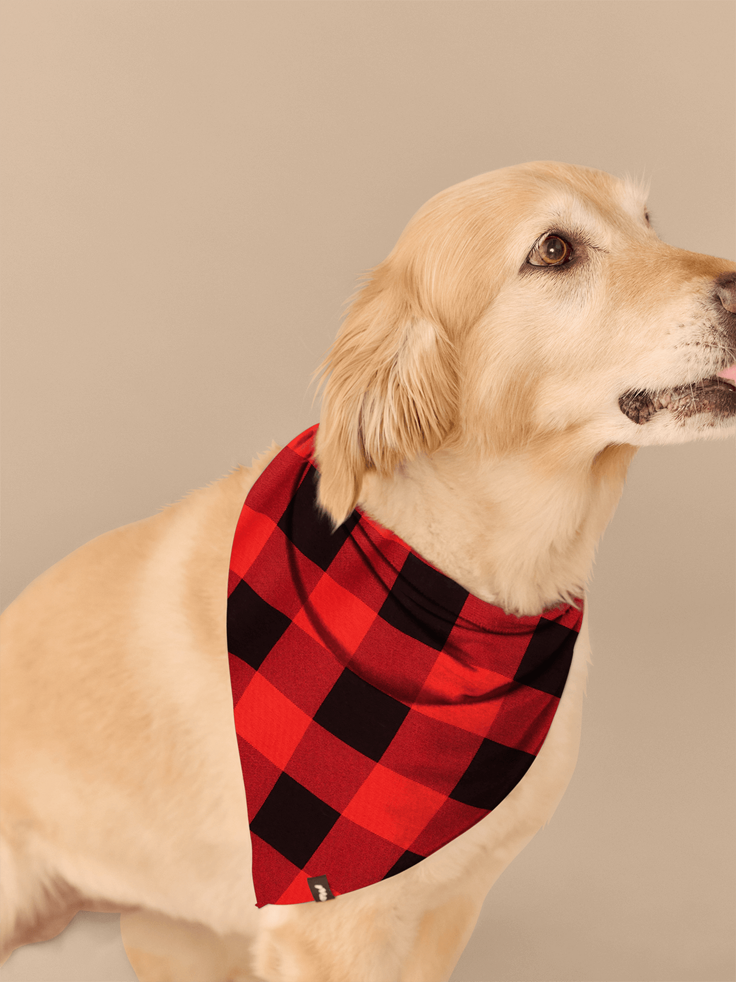 UltraModal™ BuddyBands™ | Buffalo Plaid
