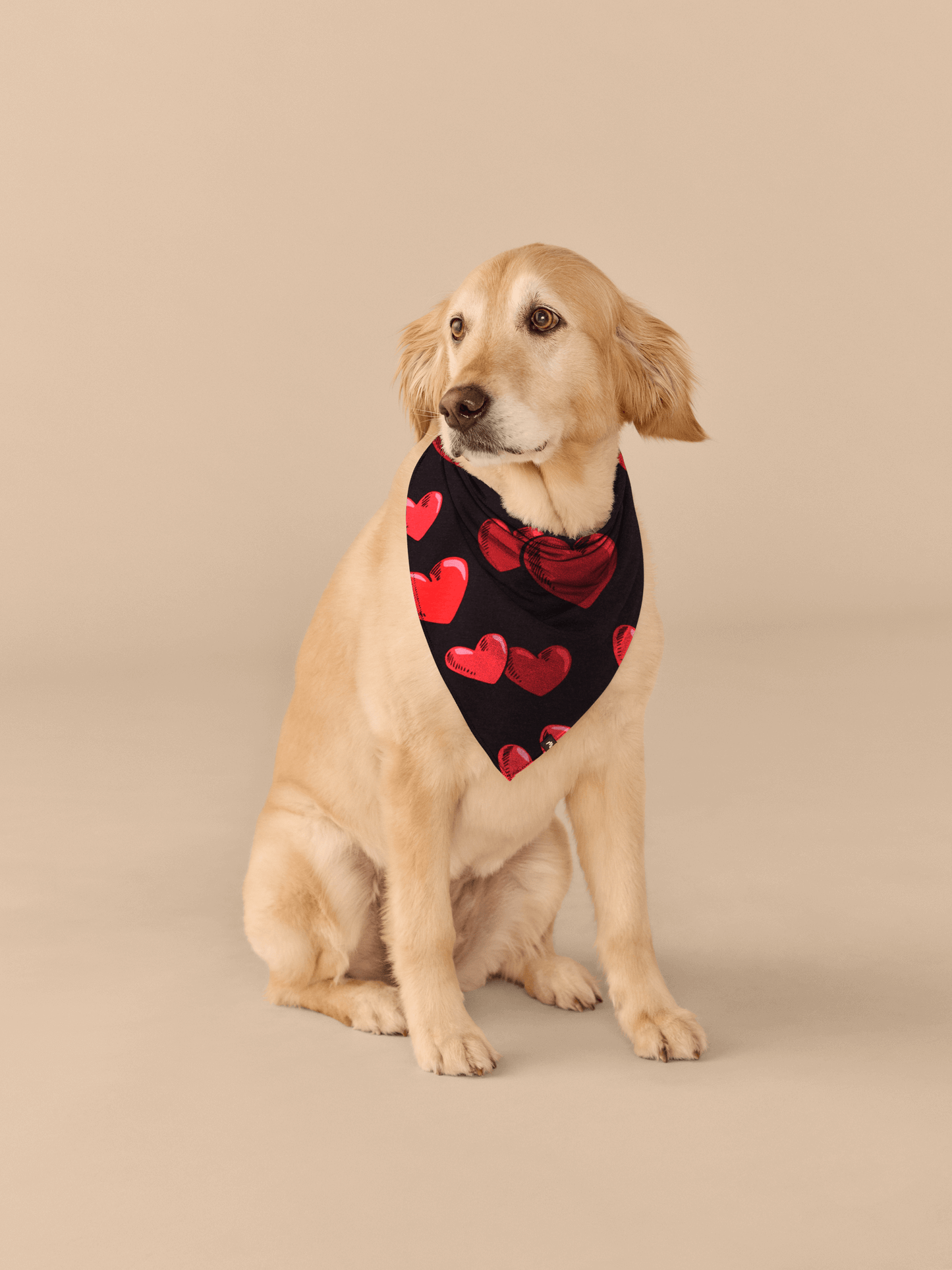UltraModal™ BuddyBands™ | Floating Hearts