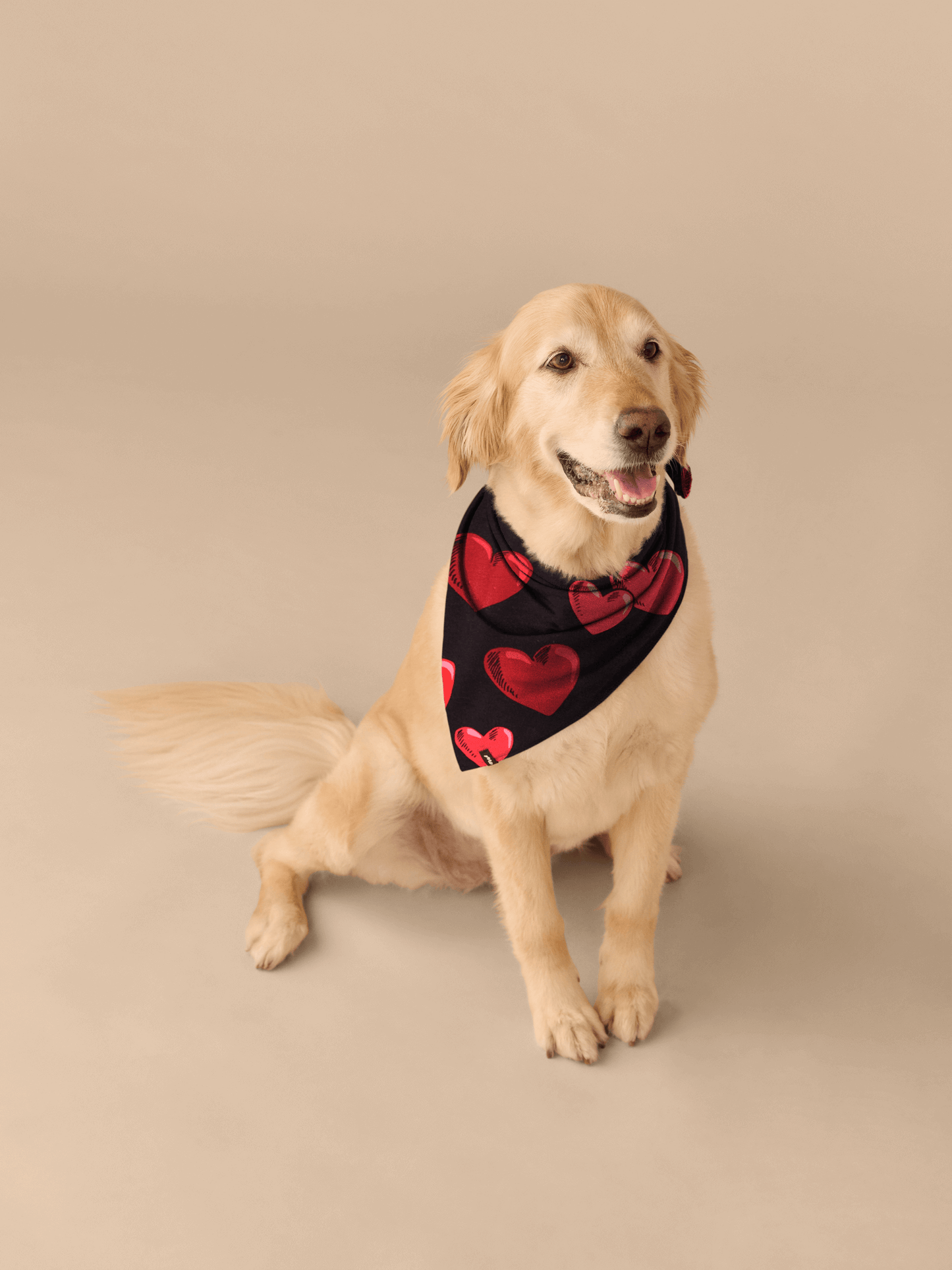 UltraModal™ BuddyBands™ | Floating Hearts