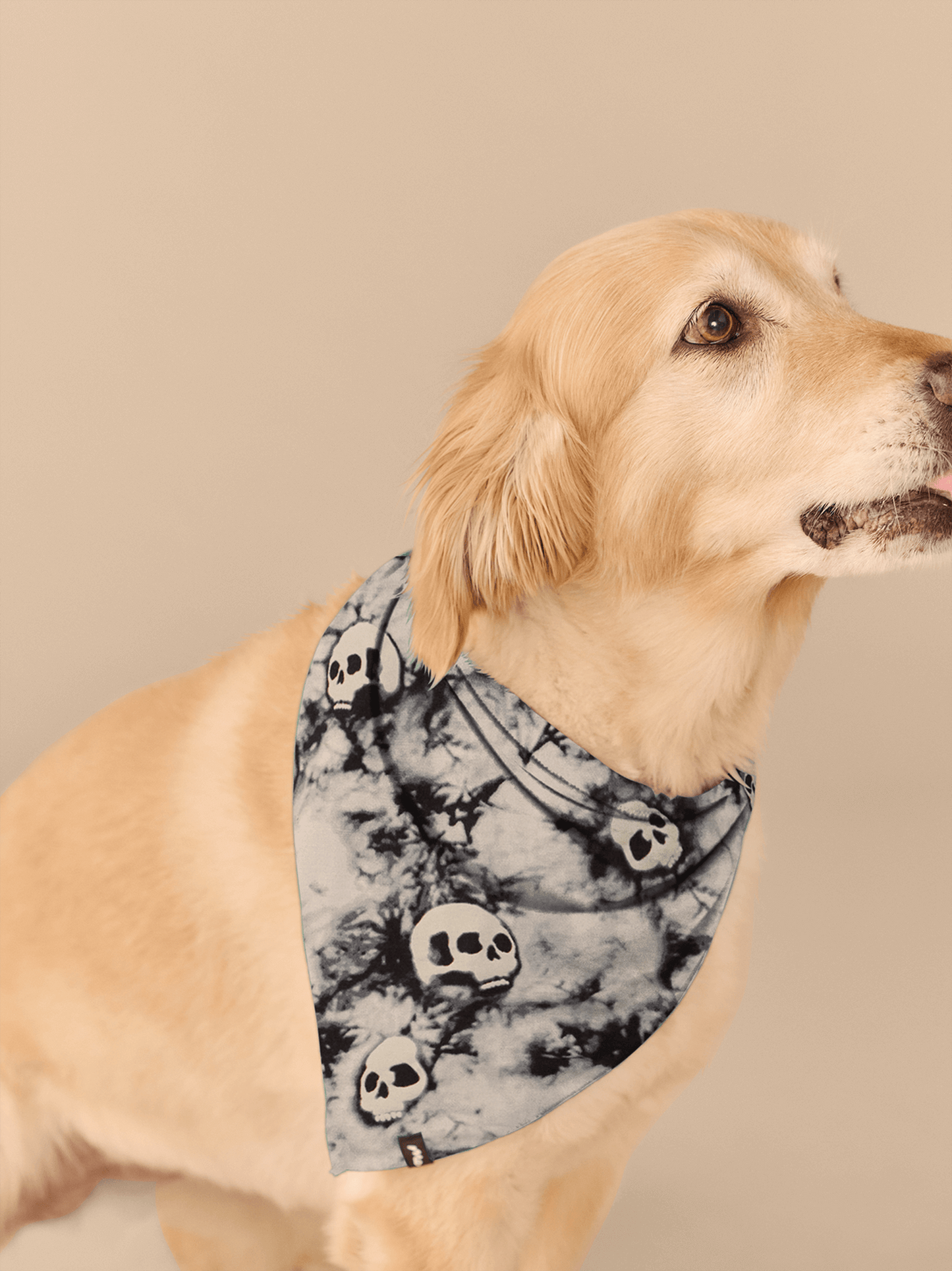 UltraModal™ BuddyBands™ | Ghosted