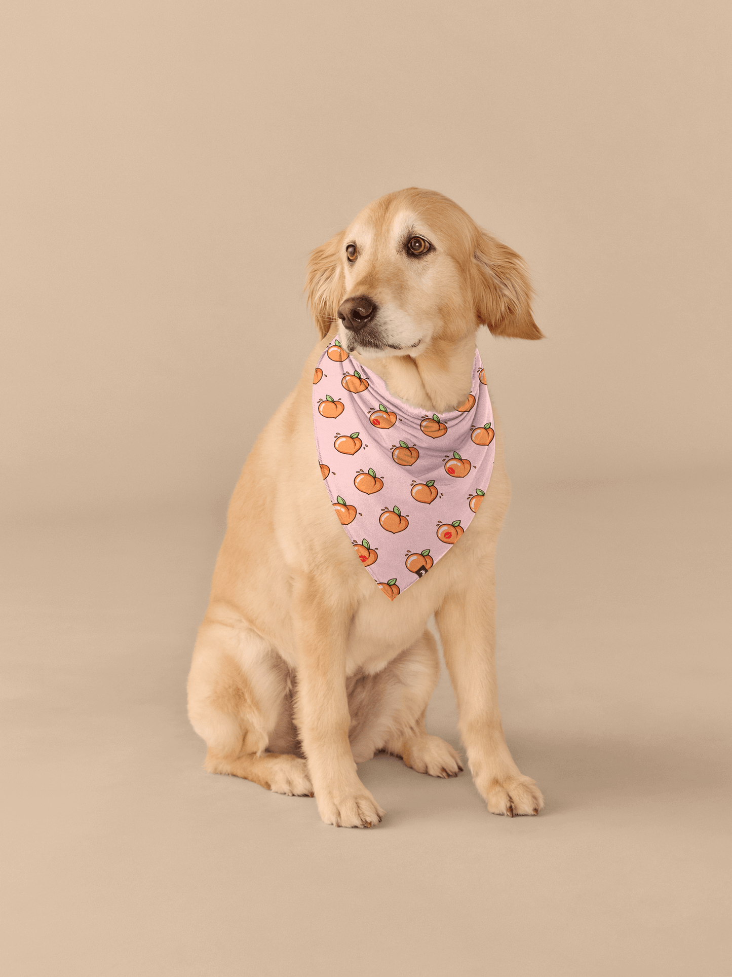 UltraModal™ BuddyBands™ | Kiss My Peach