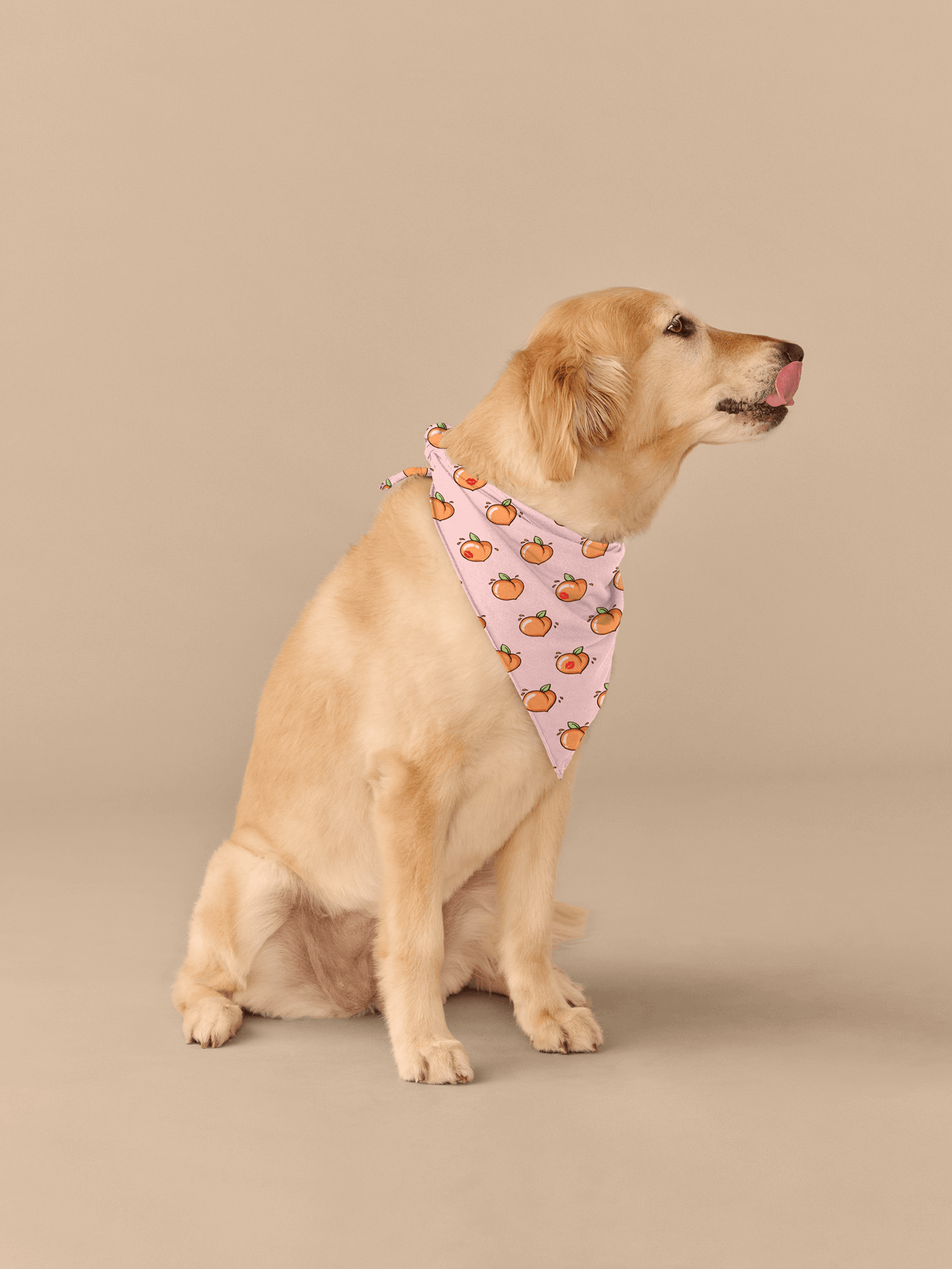 UltraModal™ BuddyBands™ | Kiss My Peach