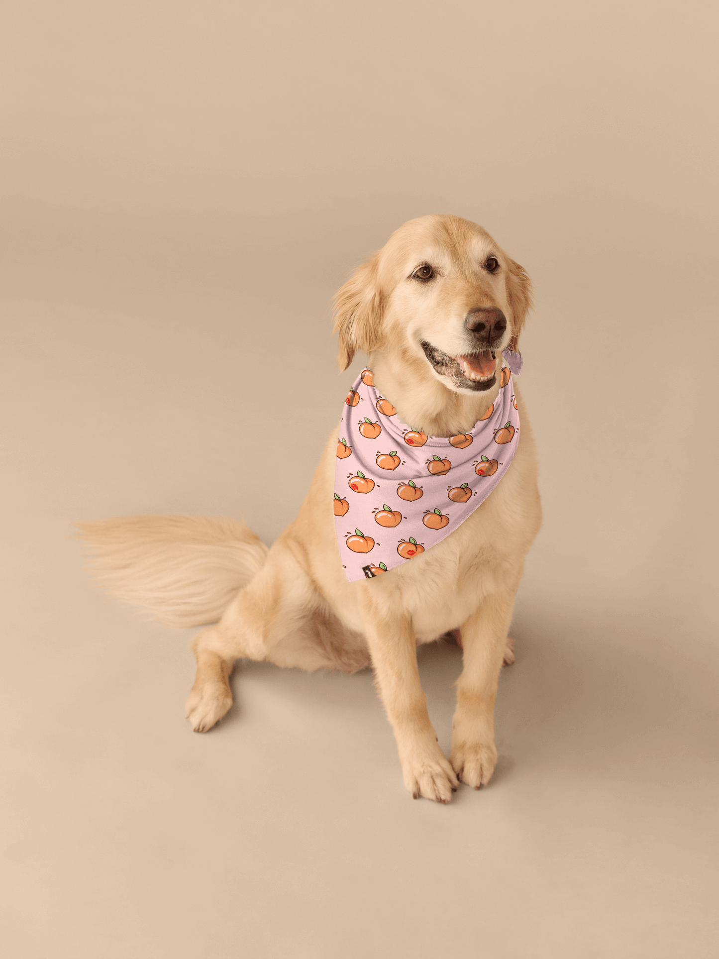 UltraModal™ BuddyBands™ | Kiss My Peach