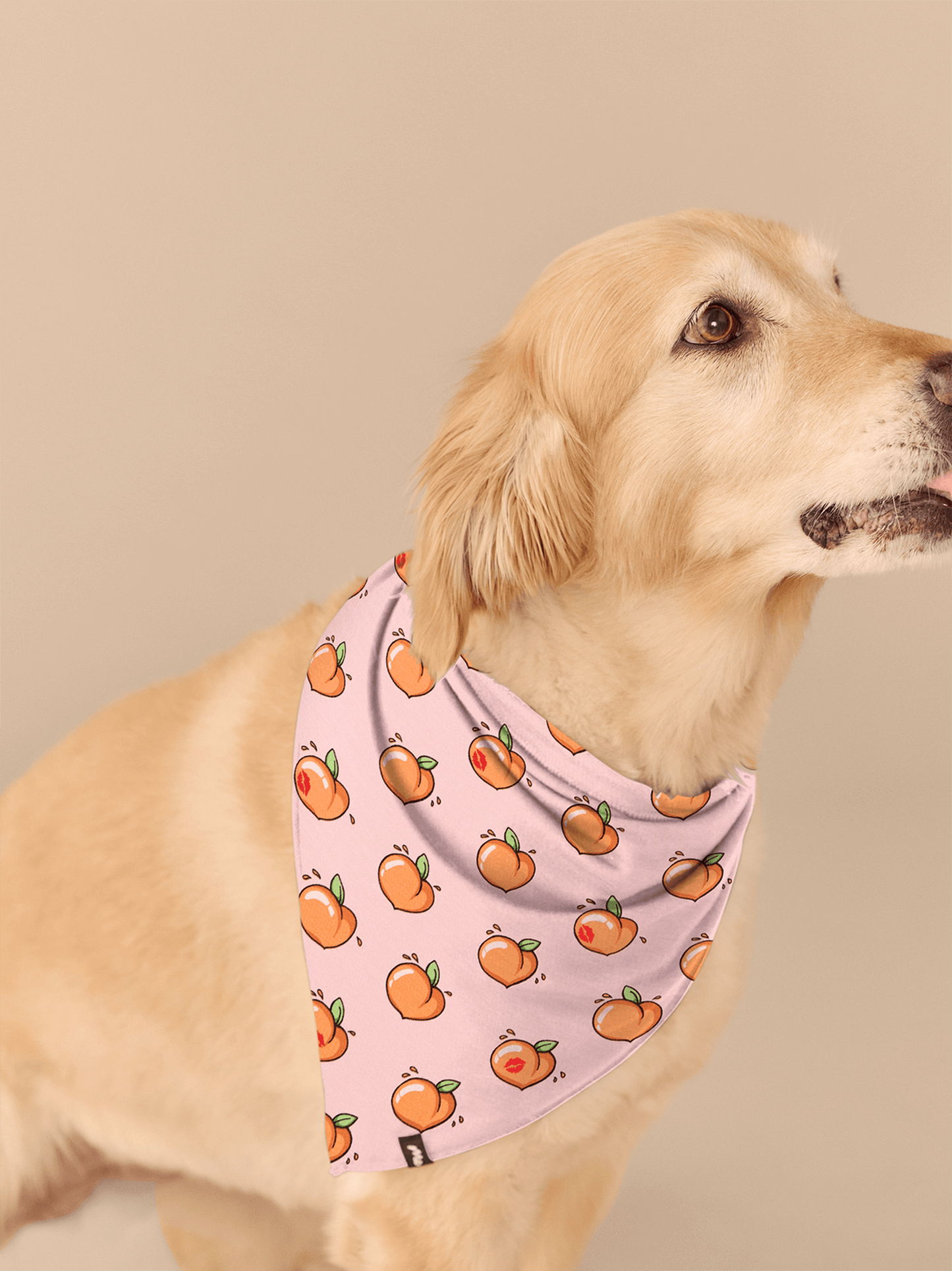 UltraModal™ BuddyBands™ | Kiss My Peach