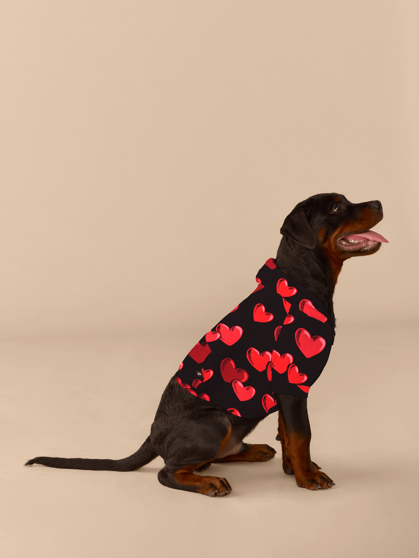 UltraModal™ Dog Hoodie | Floating Hearts