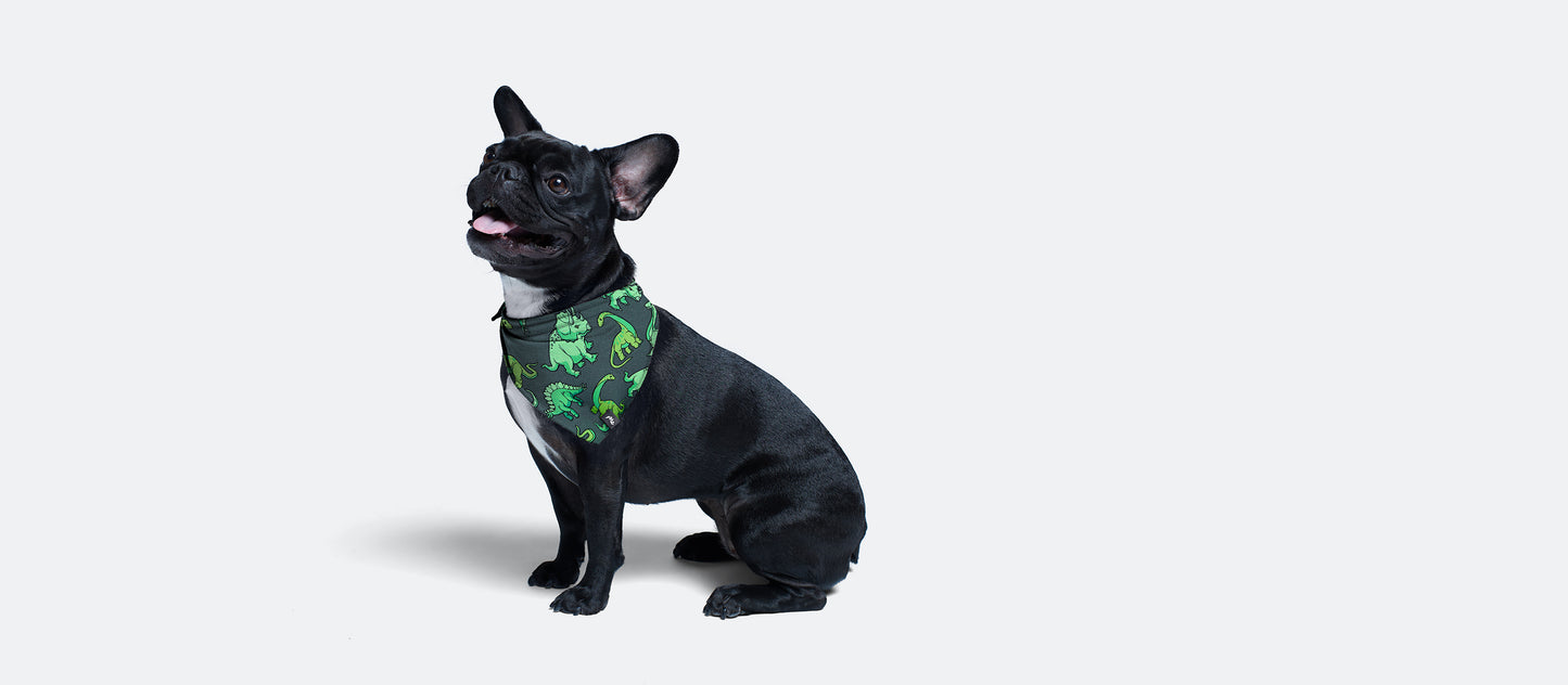 UltraModal™ BuddyBands™ | Dinos