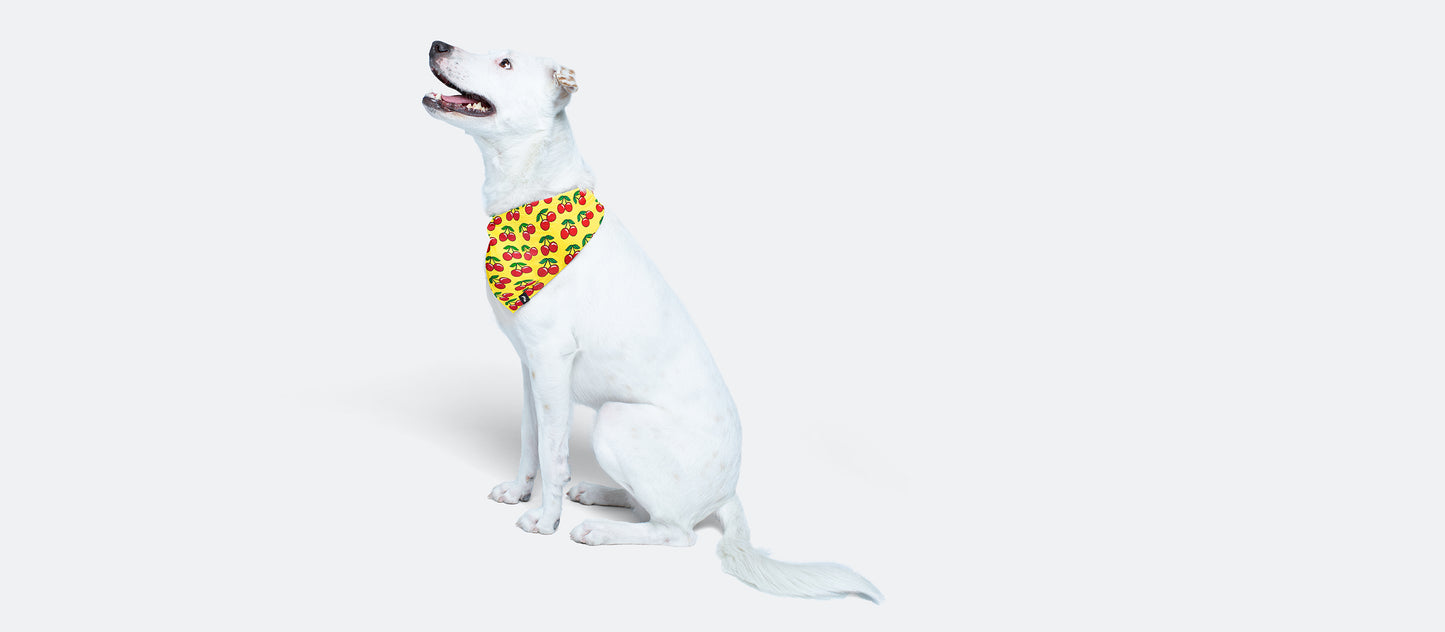 UltraModal™ BuddyBands™ | Cherries