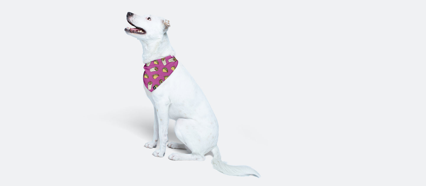 UltraModal™ BuddyBands™ | Taco ‘Bout It