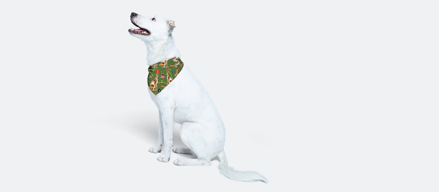 UltraModal™ BuddyBands™ | Love, Flowers, & Hares