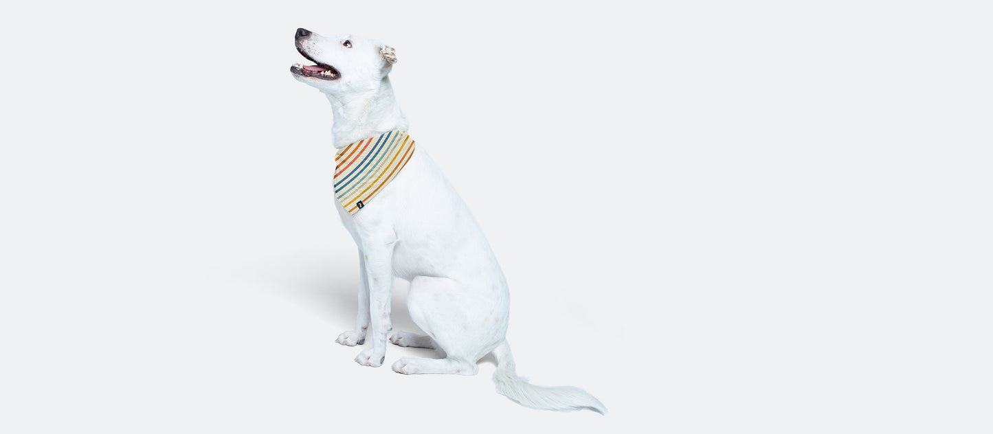 UltraModal™ BuddyBands™ | Camp Stripe