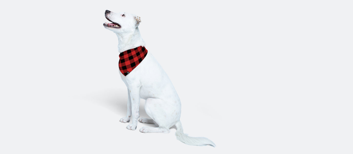 UltraModal™ BuddyBands™ | Buffalo Check