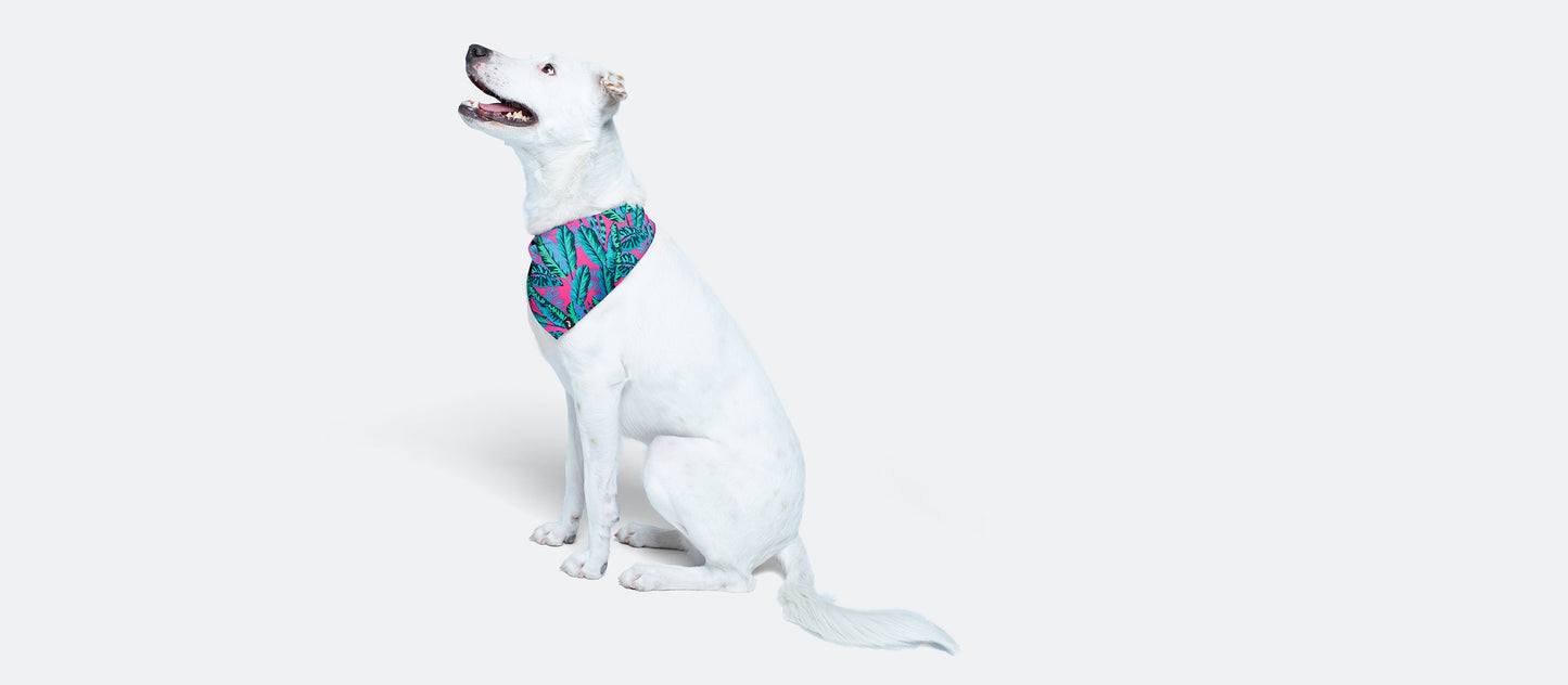 UltraModal™ BuddyBands™ | Miami Nights
