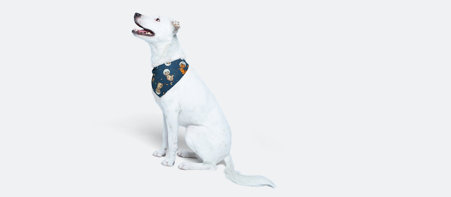 UltraModal™ BuddyBands™ | Houston, We Have A Purr-oblem