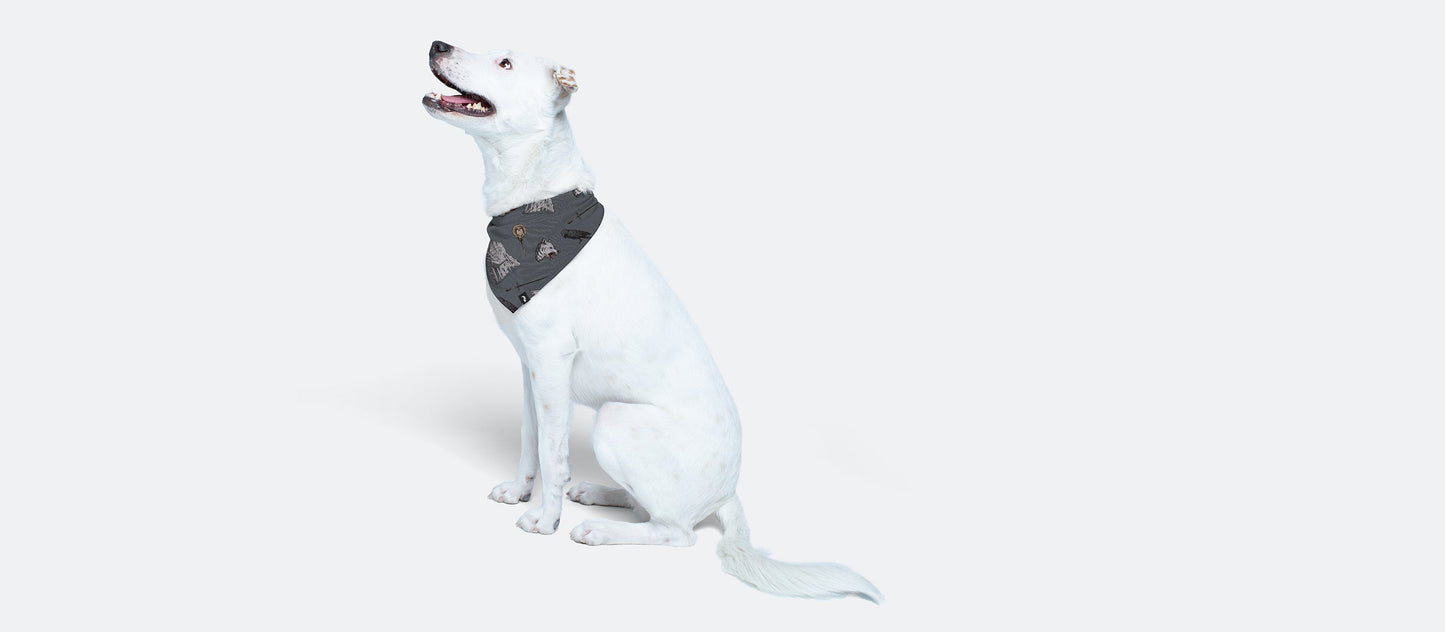 UltraModal™ BuddyBands™ | Winter is Coming