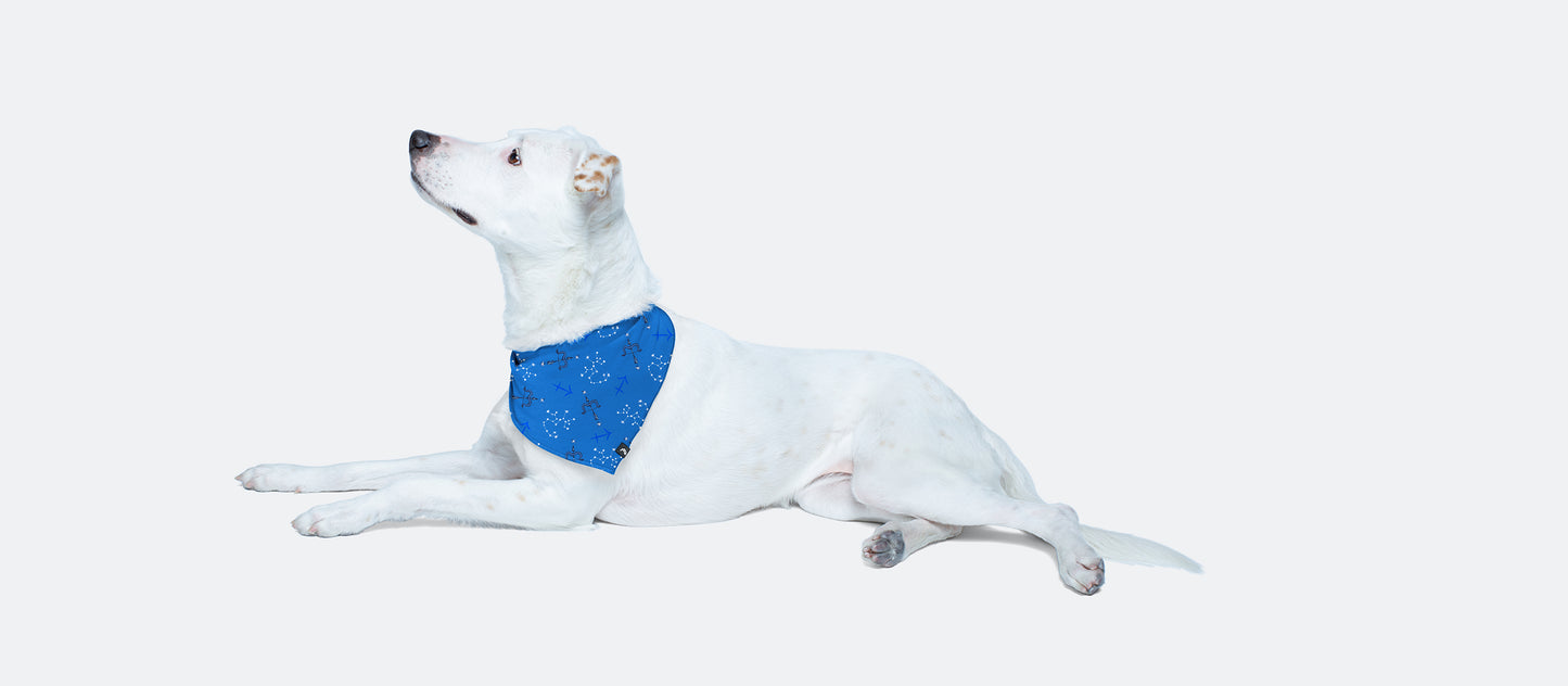 UltraModal™ BuddyBands™ | Sagittarius