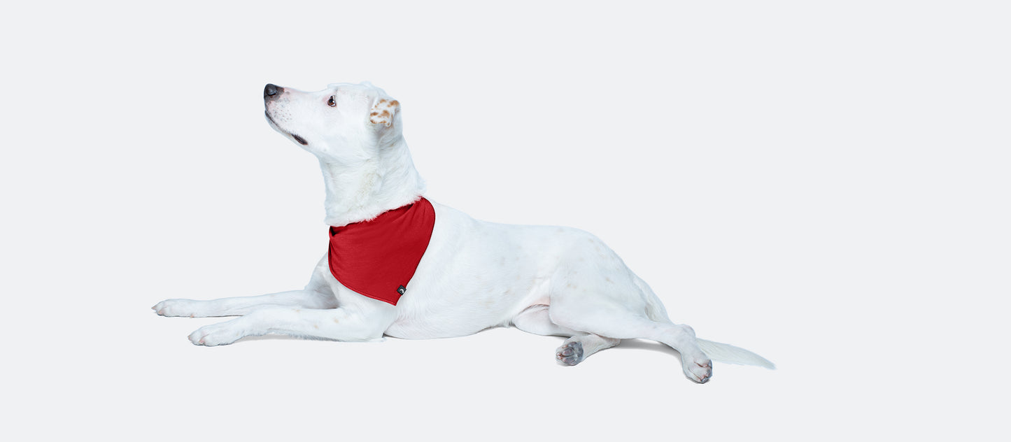 UltraModal™ BuddyBands™ | Cranberry
