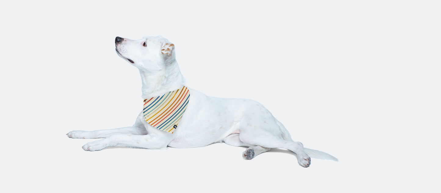 UltraModal™ BuddyBands™ | Camp Stripe