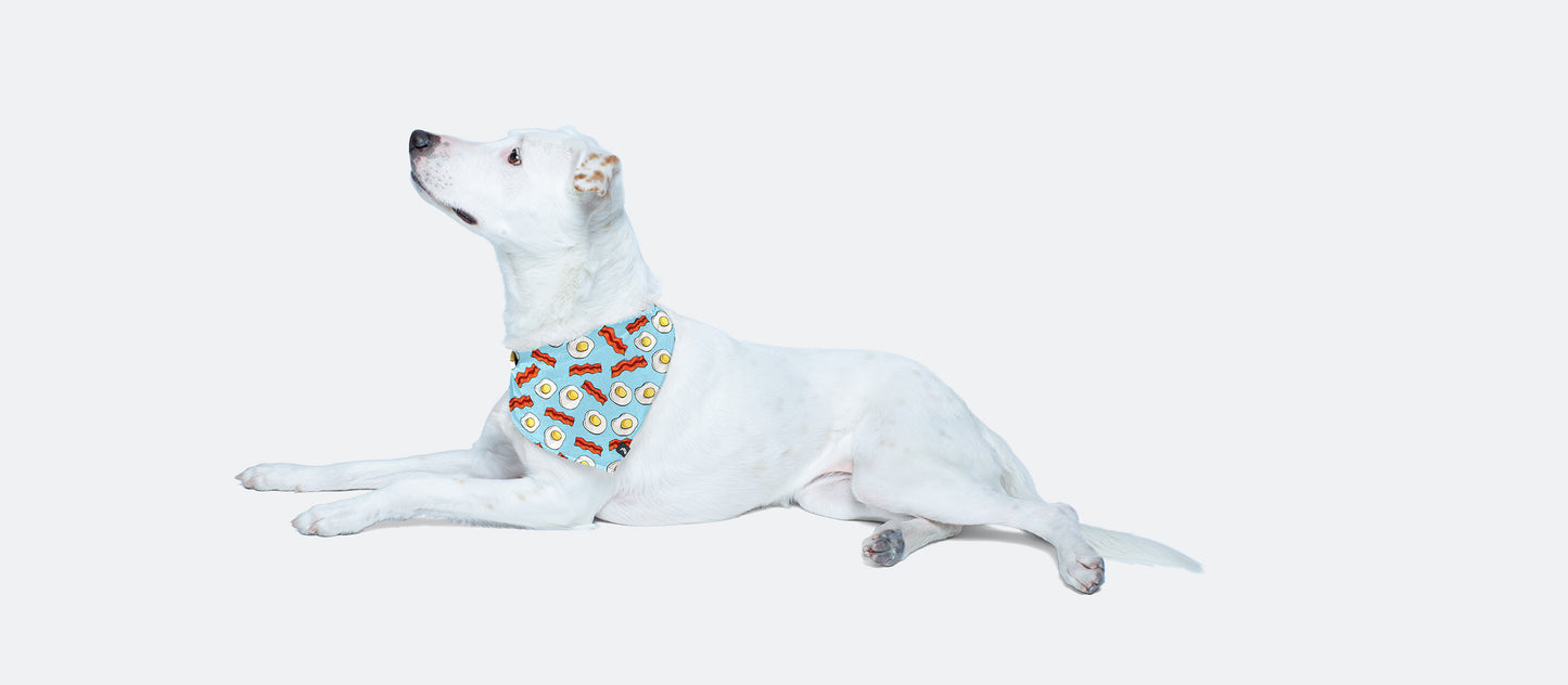 UltraModal™ BuddyBands™ | Wakey Wakey