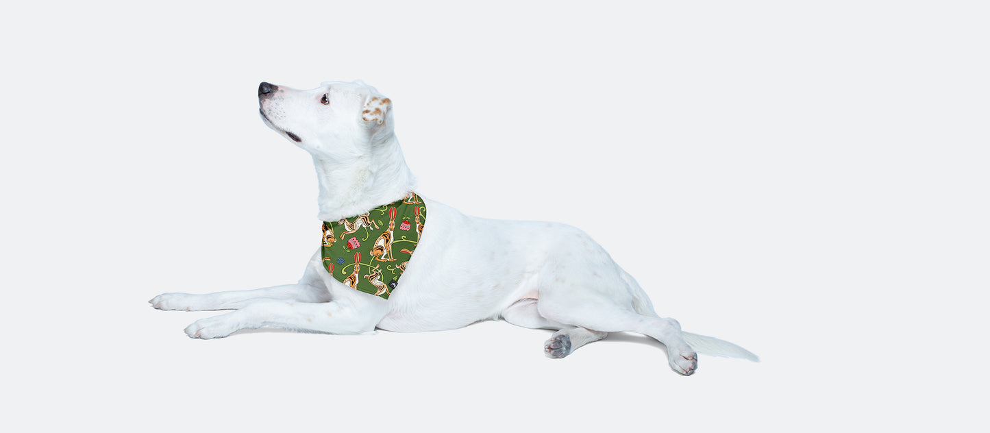 UltraModal™ BuddyBands™ | Love, Flowers, & Hares