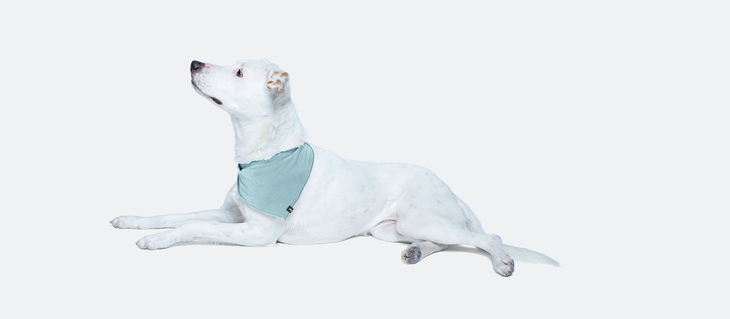 UltraModal™ BuddyBands™ | Ice Blue