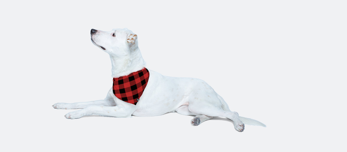 UltraModal™ BuddyBands™ | Buffalo Check