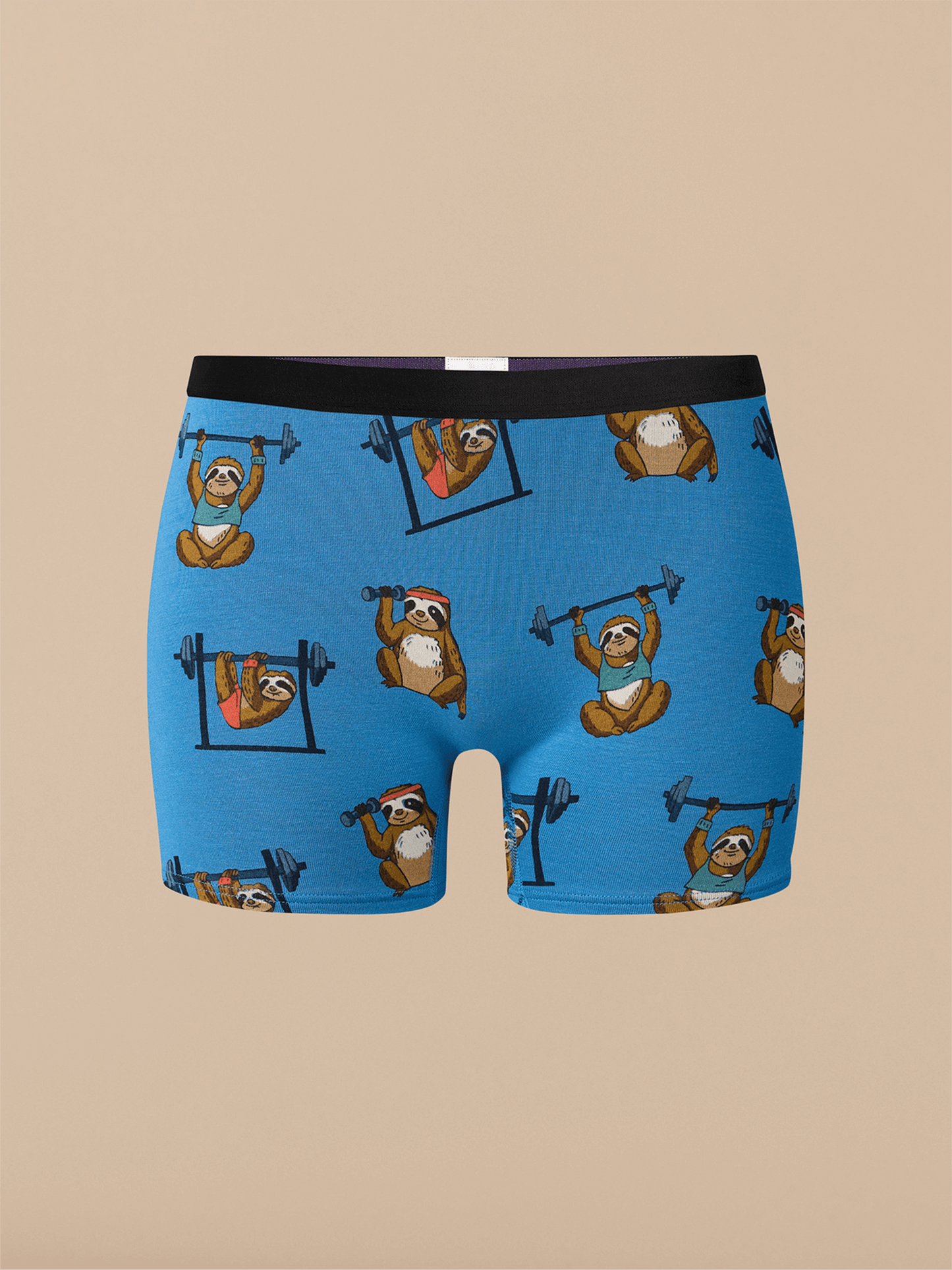 UltraModal™ Core Boyshort | Slothercise