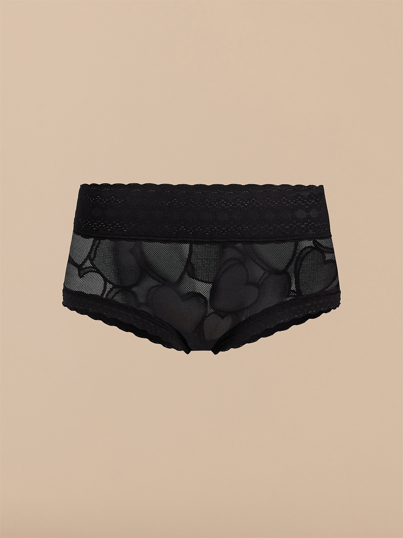 All Over Lace Hipster | Black Hearts