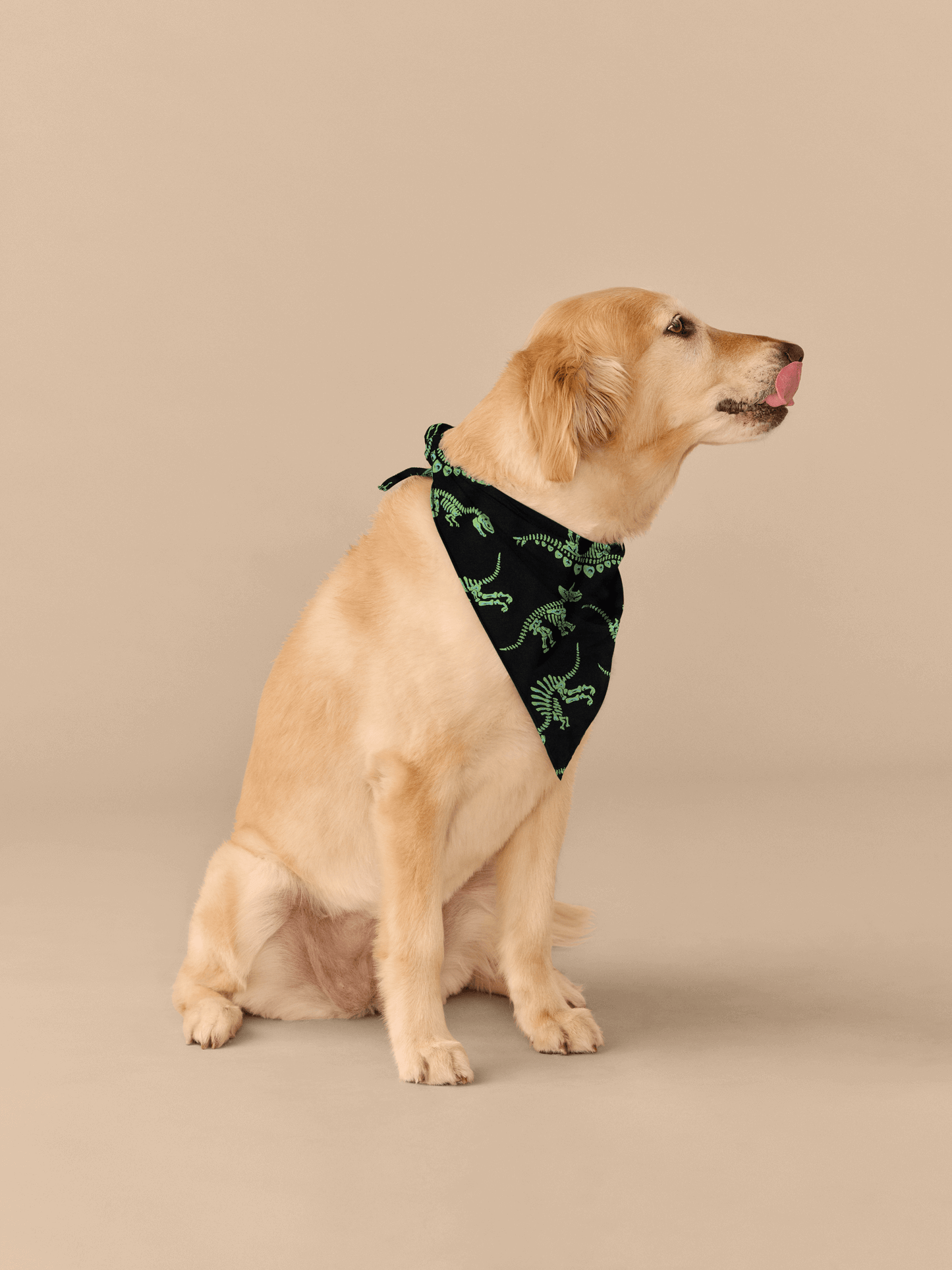 UltraModal™ BuddyBands™ | Electric Dino
