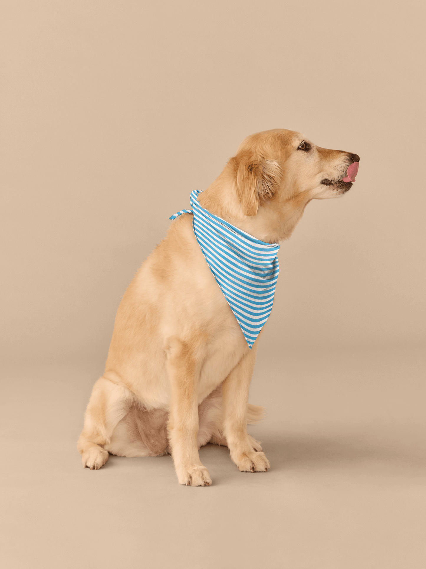 UltraModal™ BuddyBands™ | Amalfi Stripes
