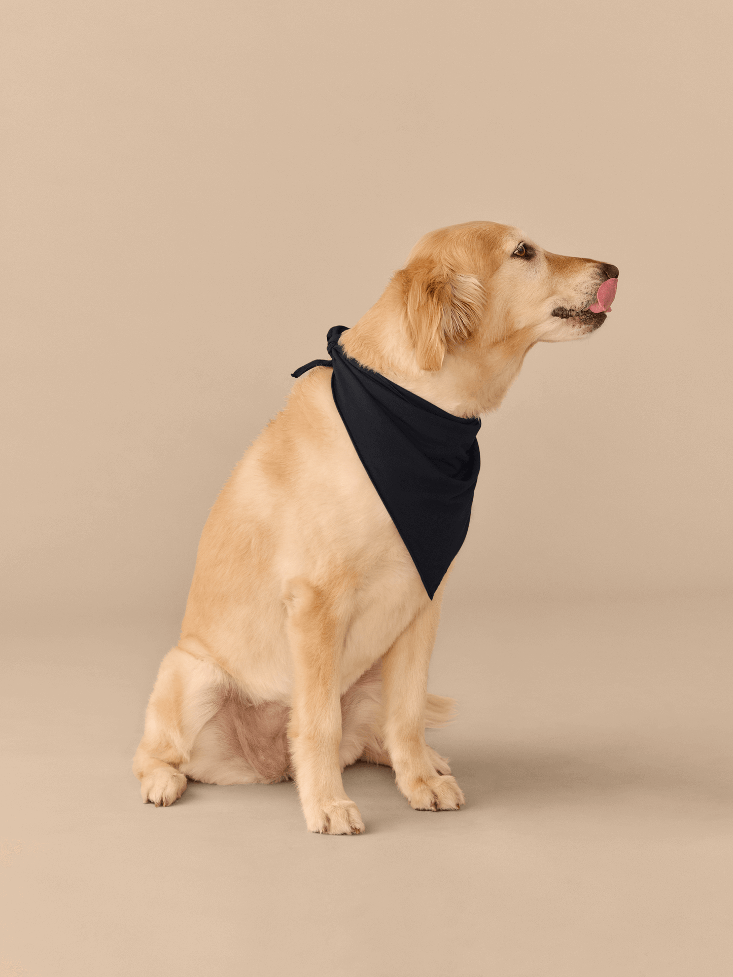 UltraModal™ BuddyBands™ | Fired Up