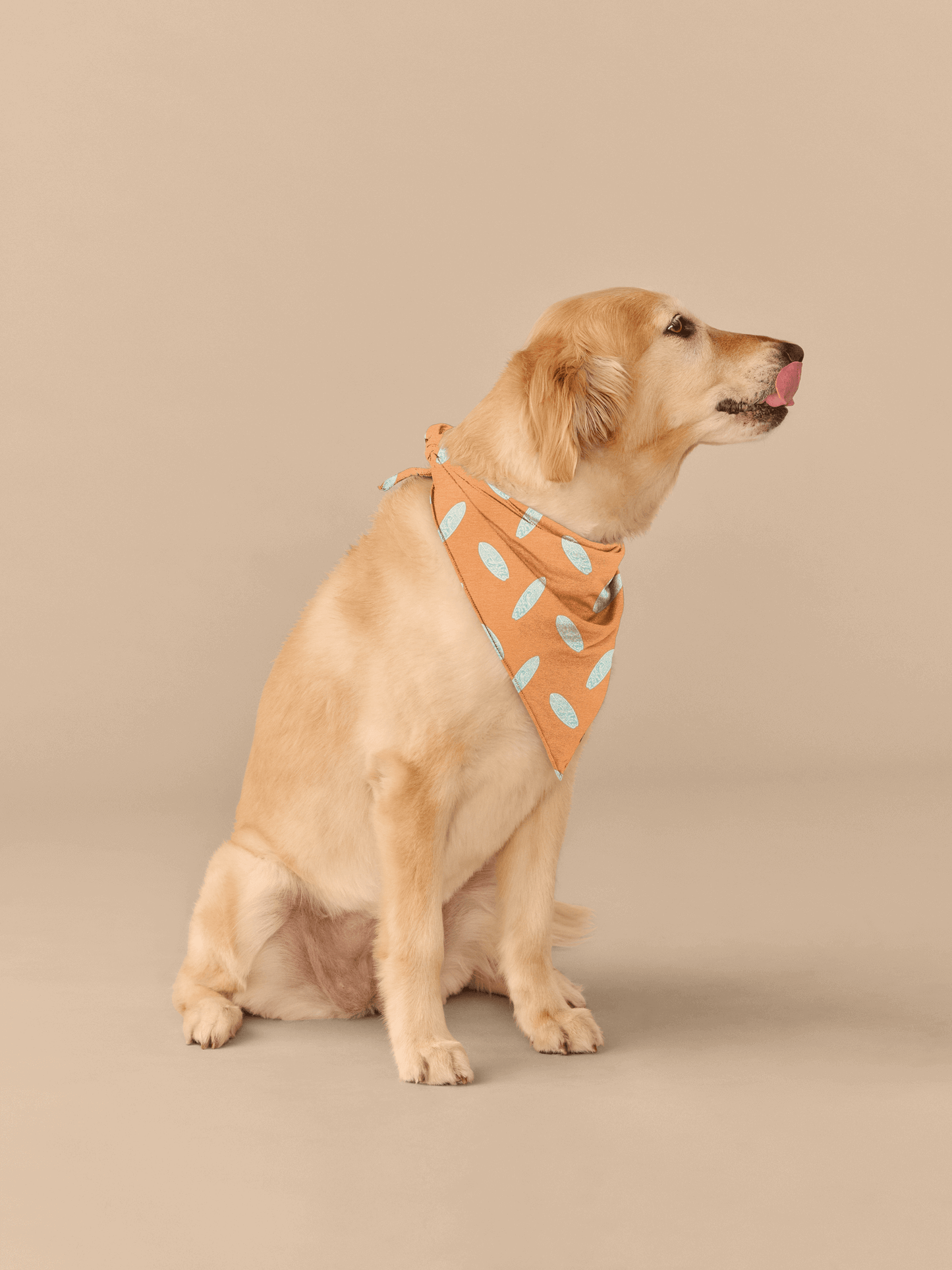 UltraModal™ BuddyBands™ | Surfs Up