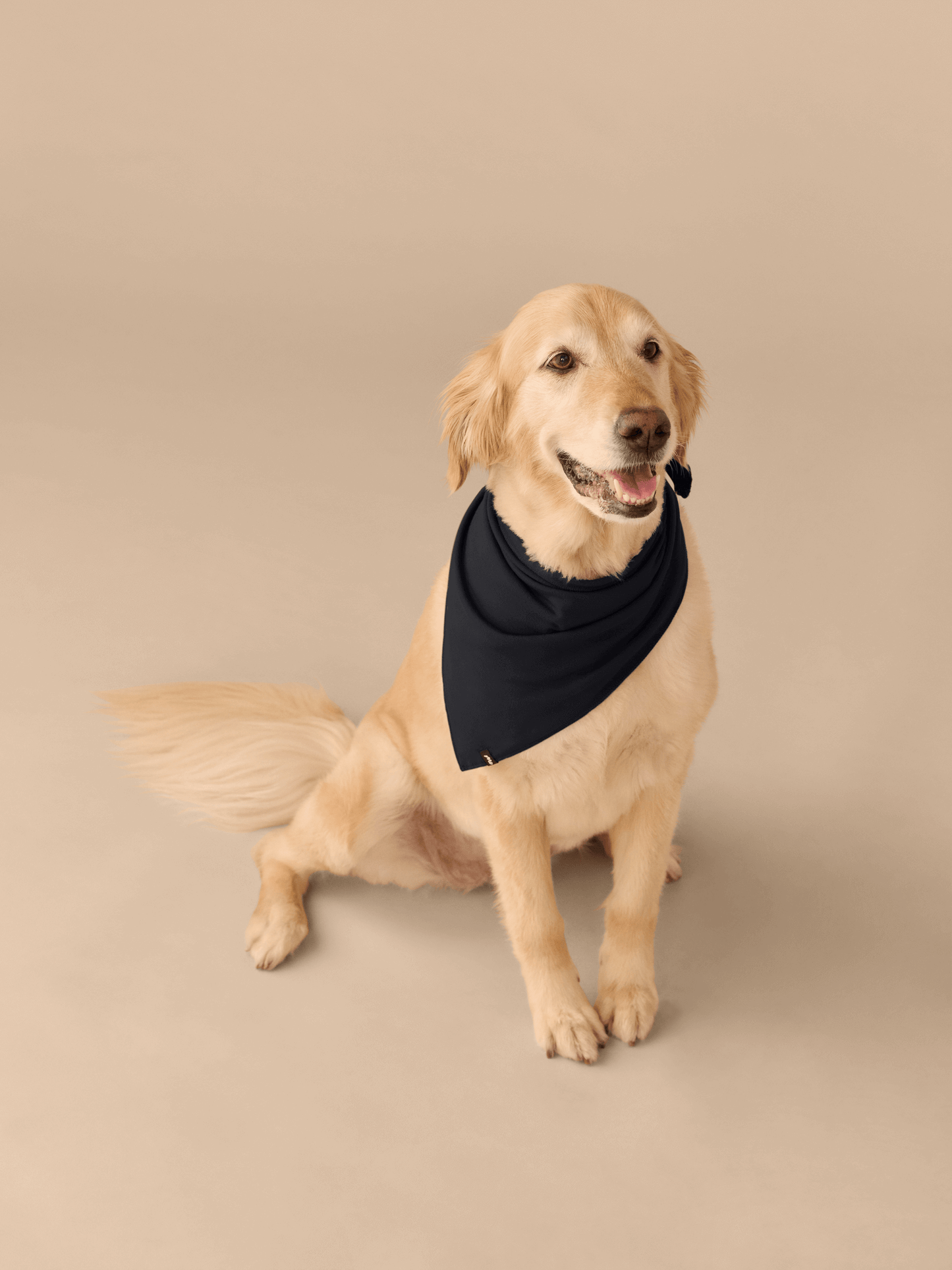 UltraModal™ BuddyBands™ | F-Offee