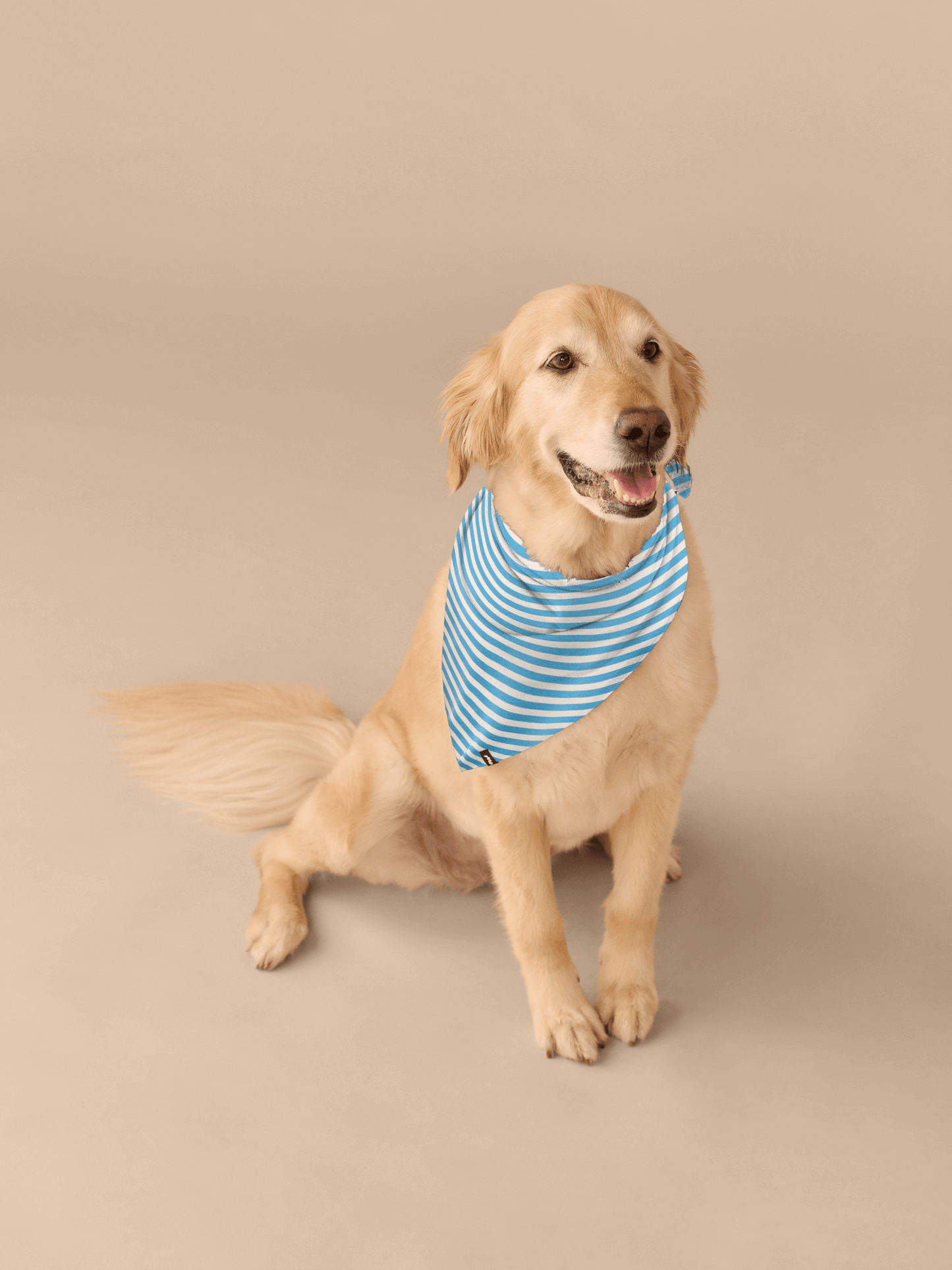 UltraModal™ BuddyBands™ | Amalfi Stripes