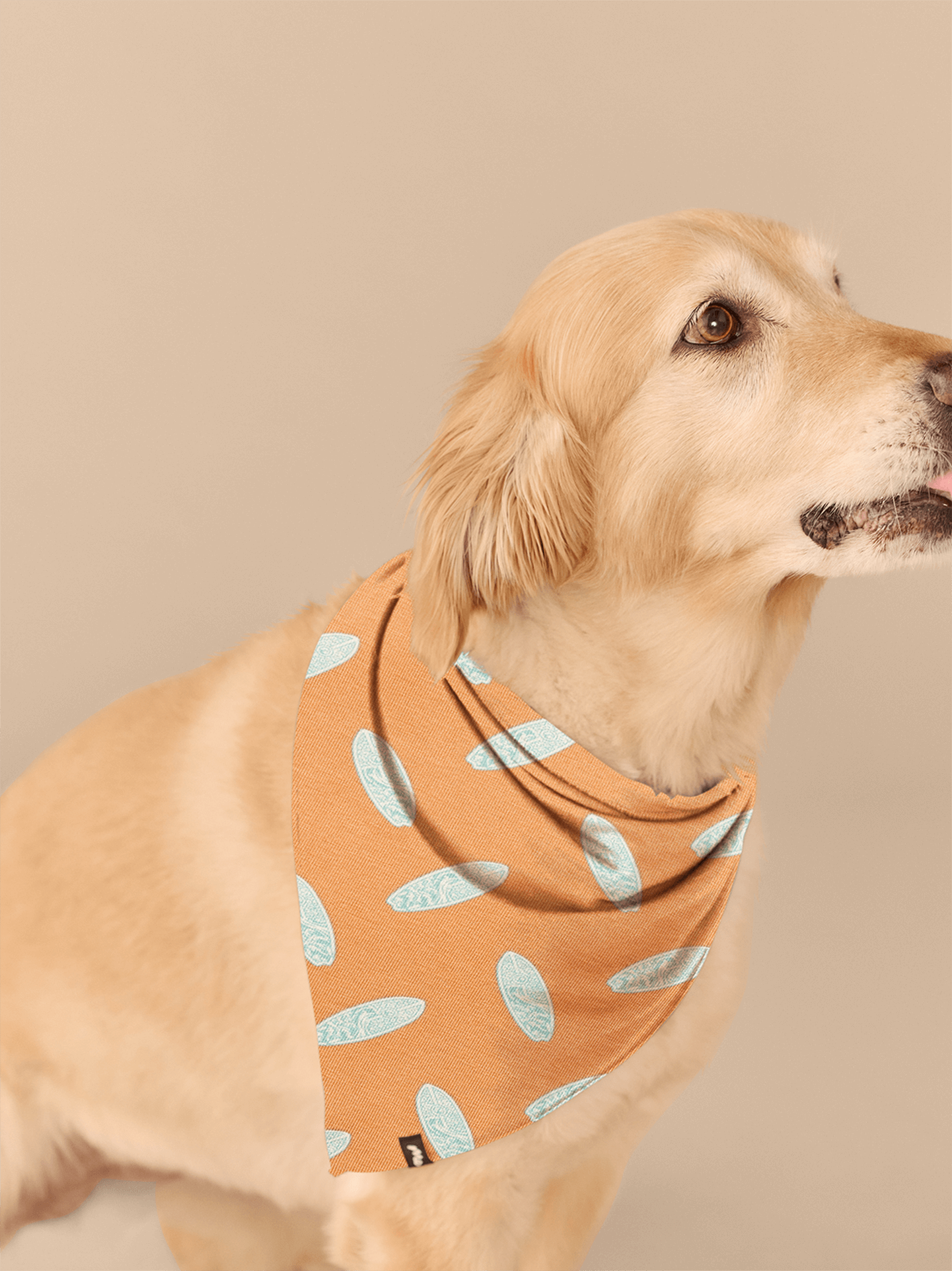 UltraModal™ BuddyBands™ | Surfs Up