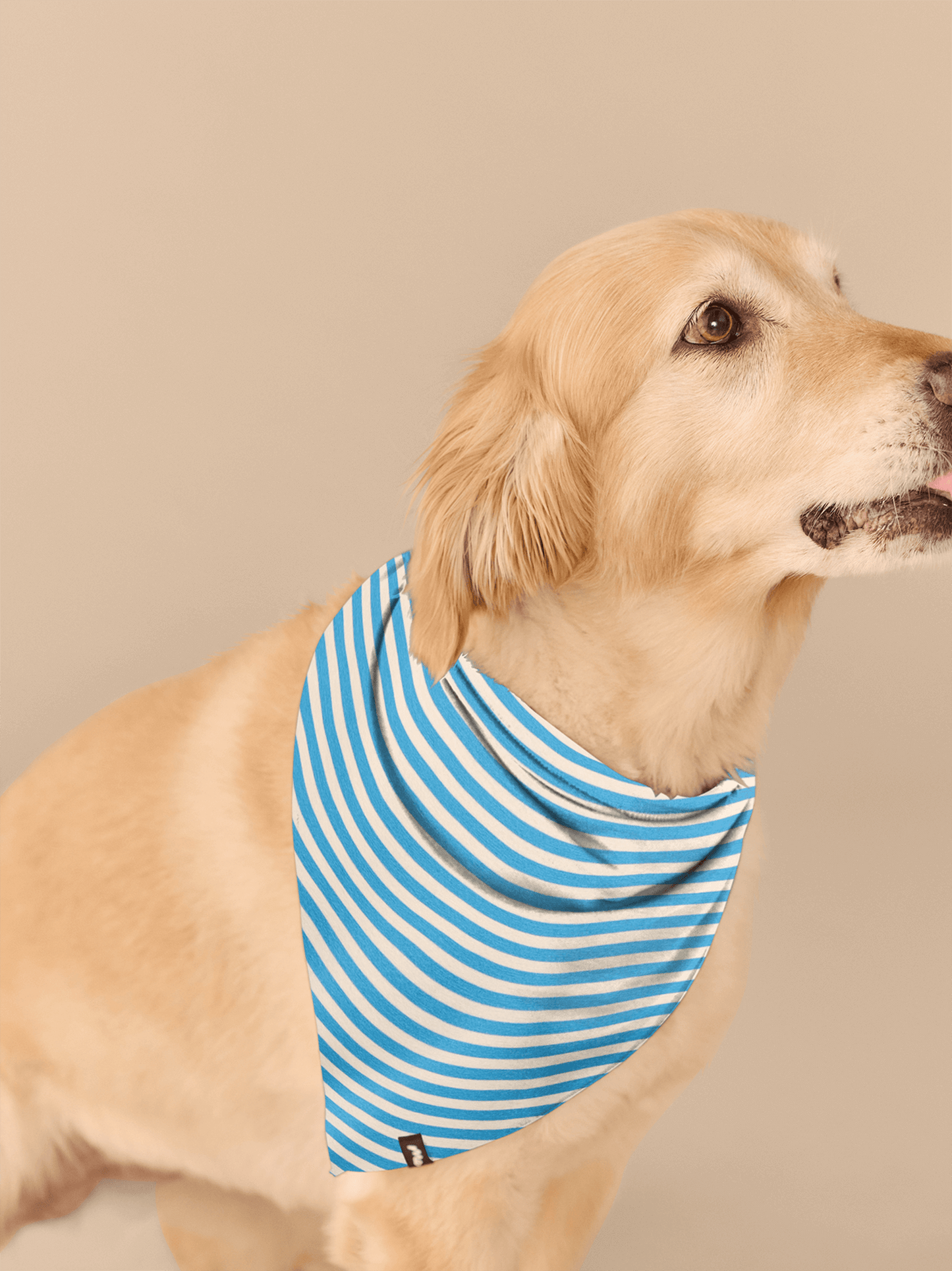 UltraModal™ BuddyBands™ | Amalfi Stripes
