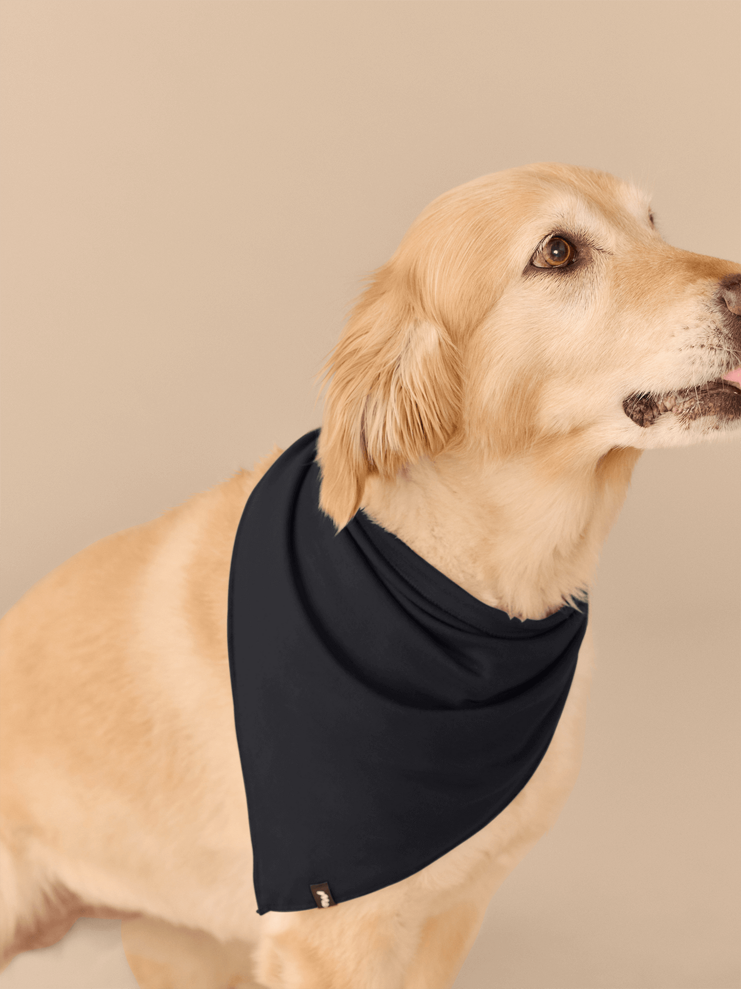 UltraModal™ BuddyBands™ | F-Offee