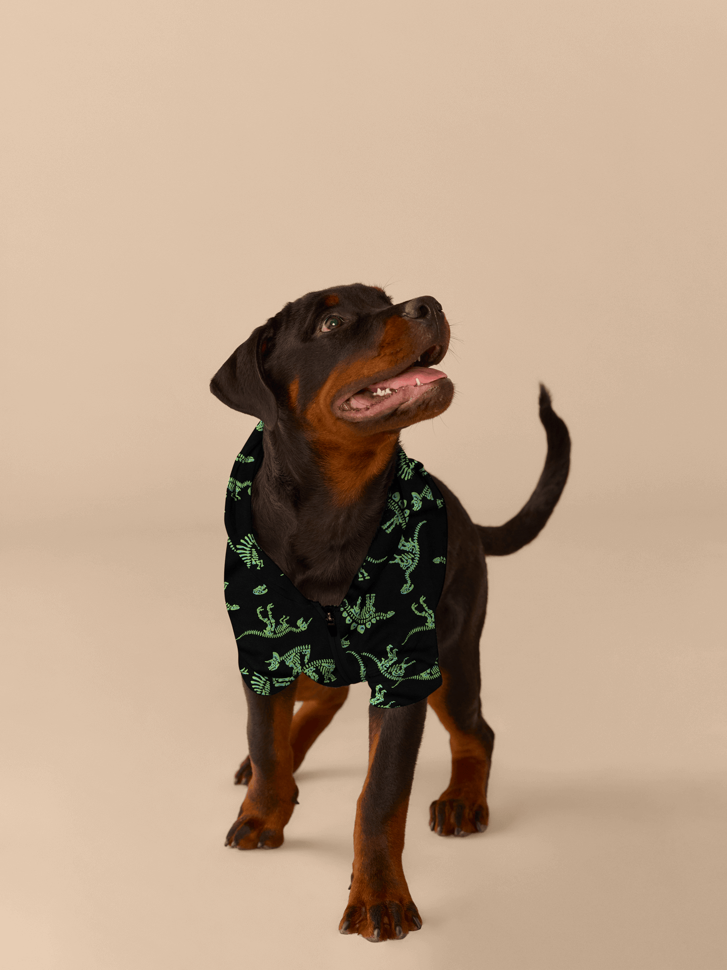 UltraModal™ Dog Hoodie | Electric Dino
