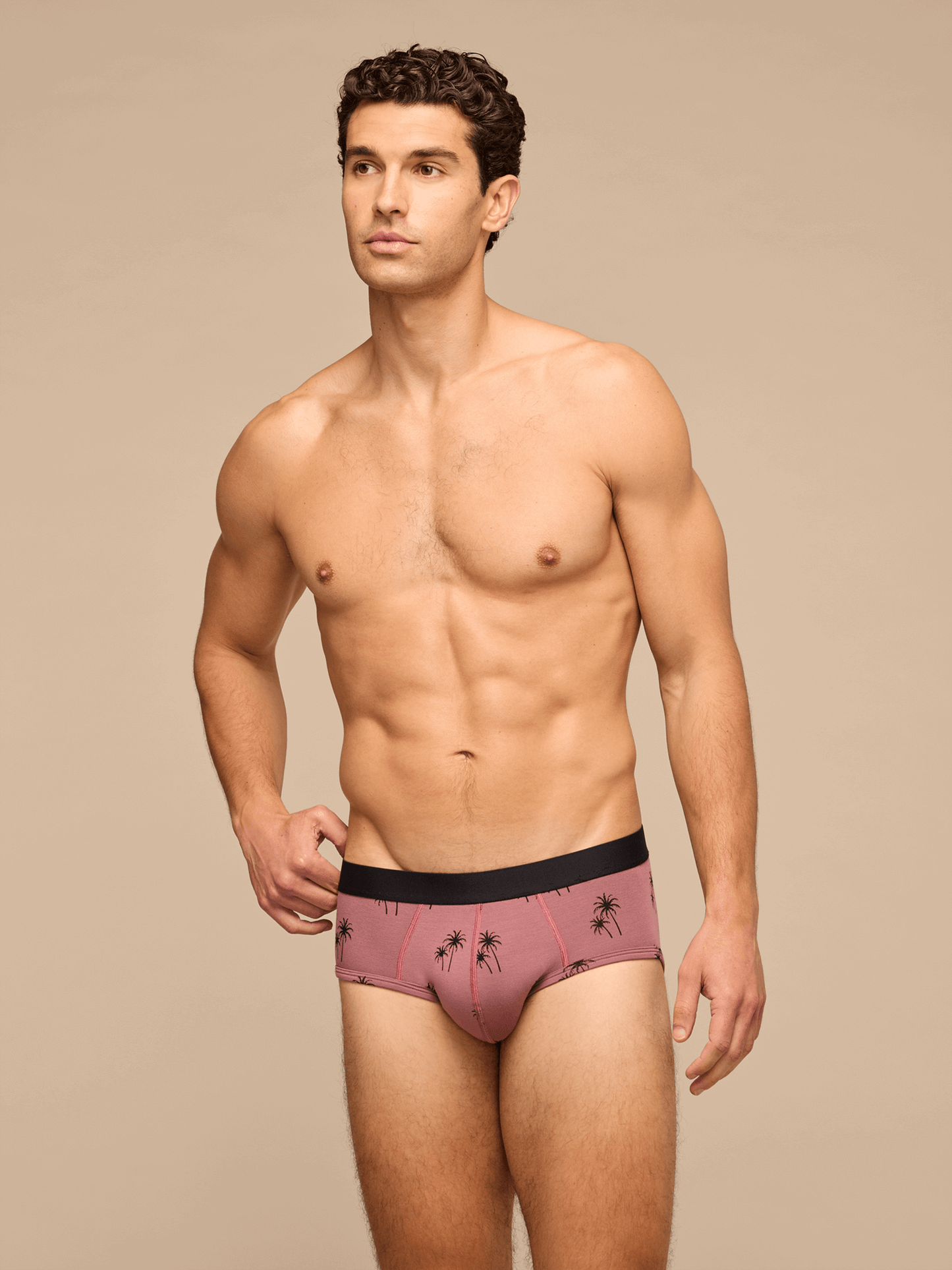 UltraModal™ Core Brief | Faded Palms