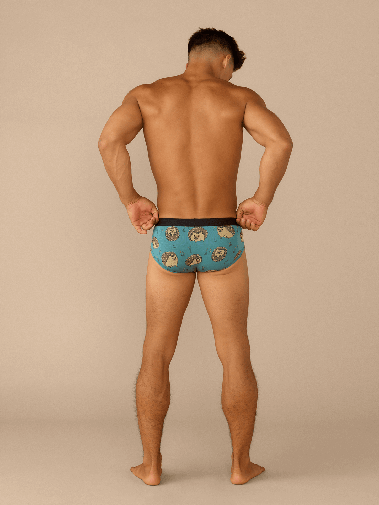 UltraModal™ Core Brief | Hedgehogs