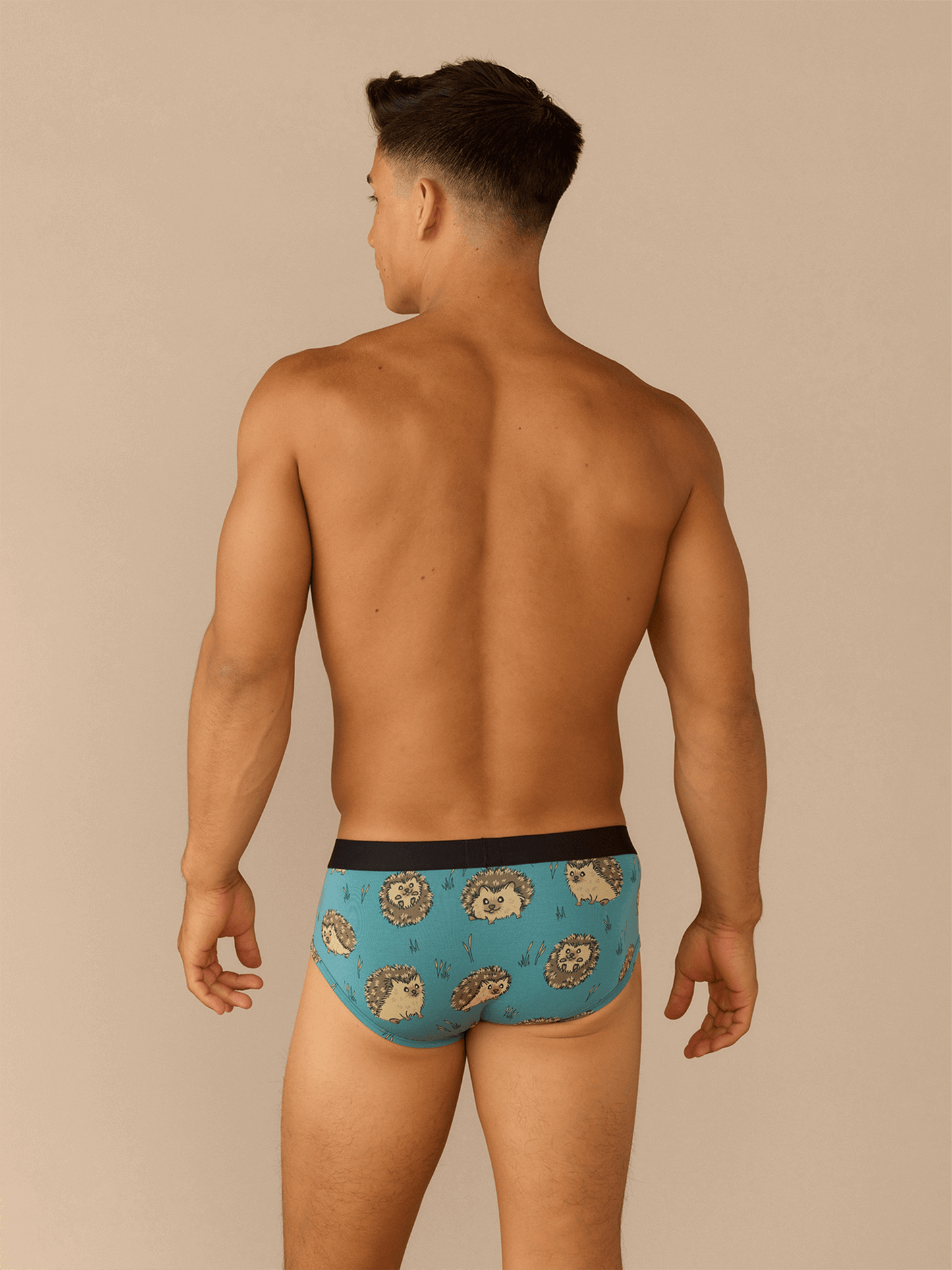 UltraModal™ Core Brief | Hedgehogs