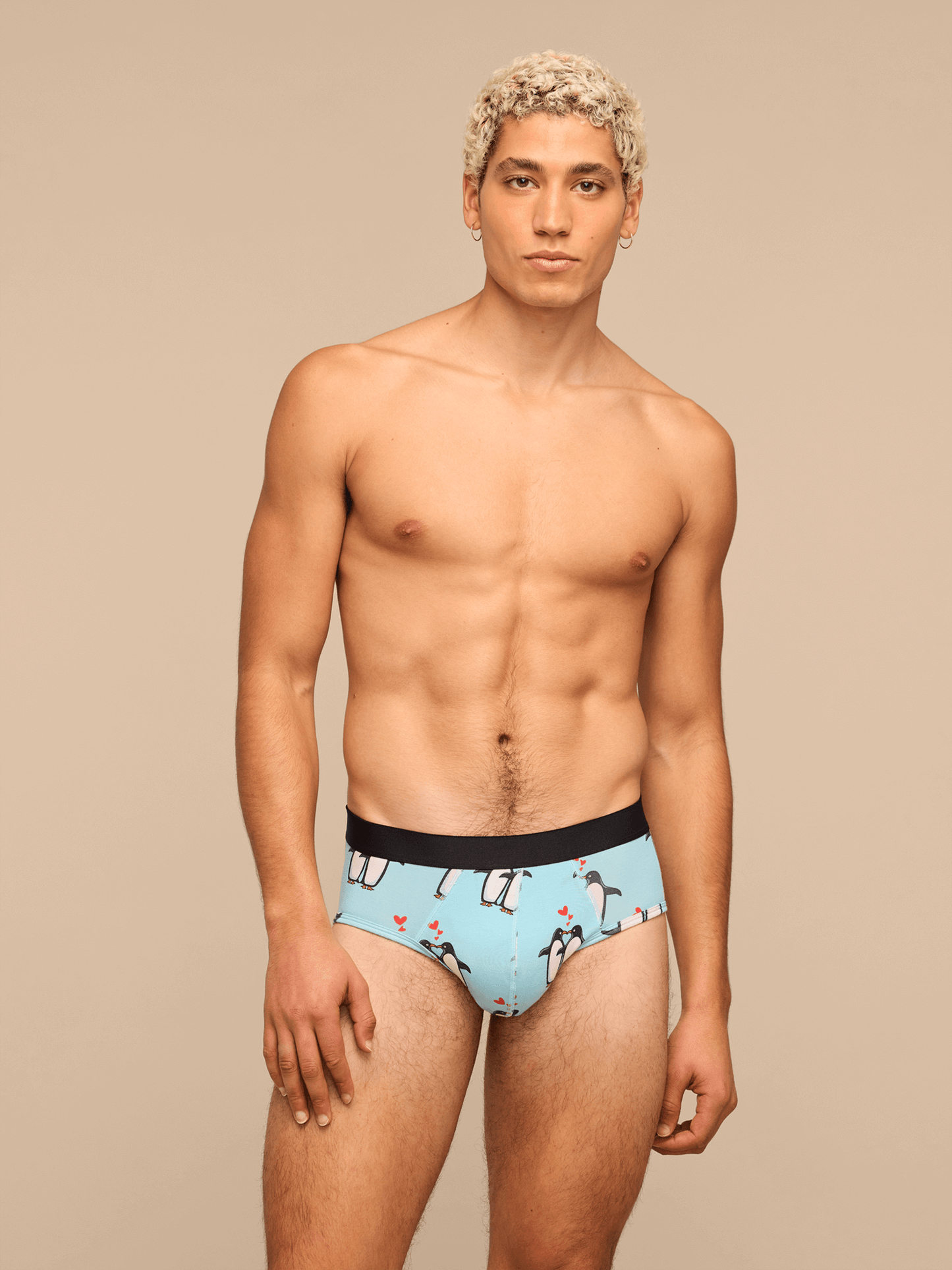 UltraModal™ Core Brief | You're My Penguin